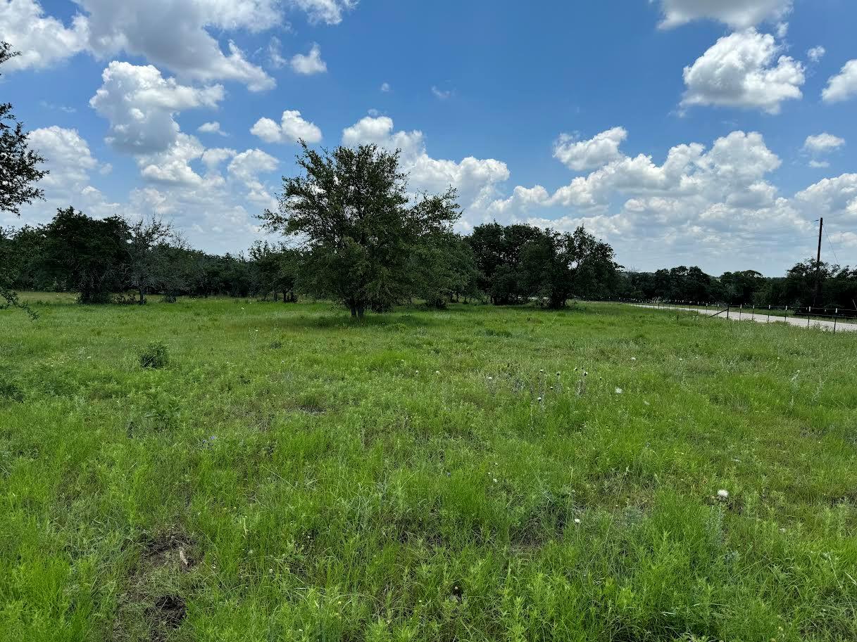 Tract 10B-3 Miller Creek, Briggs, TX 78608