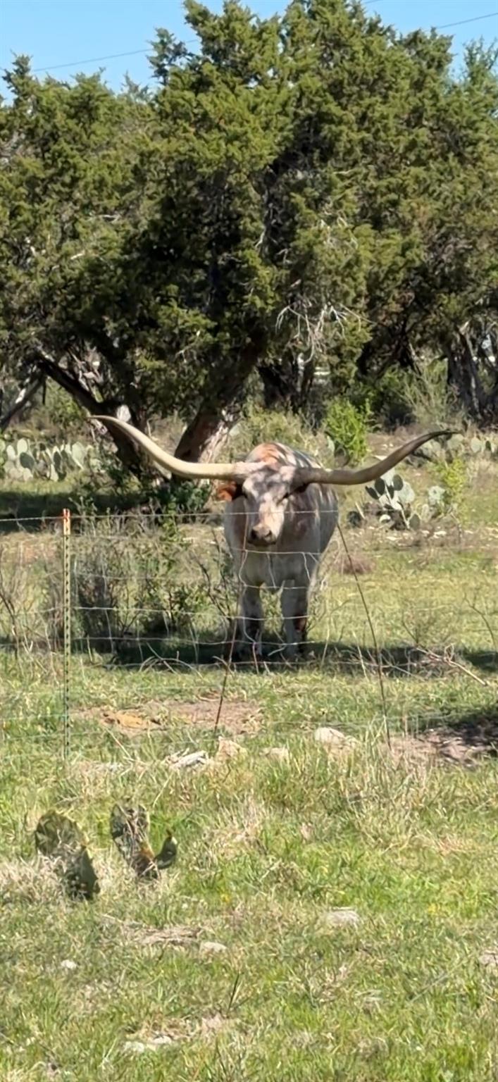 3514 FM 3509, Burnet, TX 78611