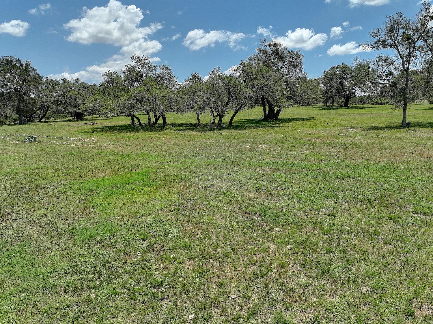 3514 FM 3509, Burnet, TX 78611