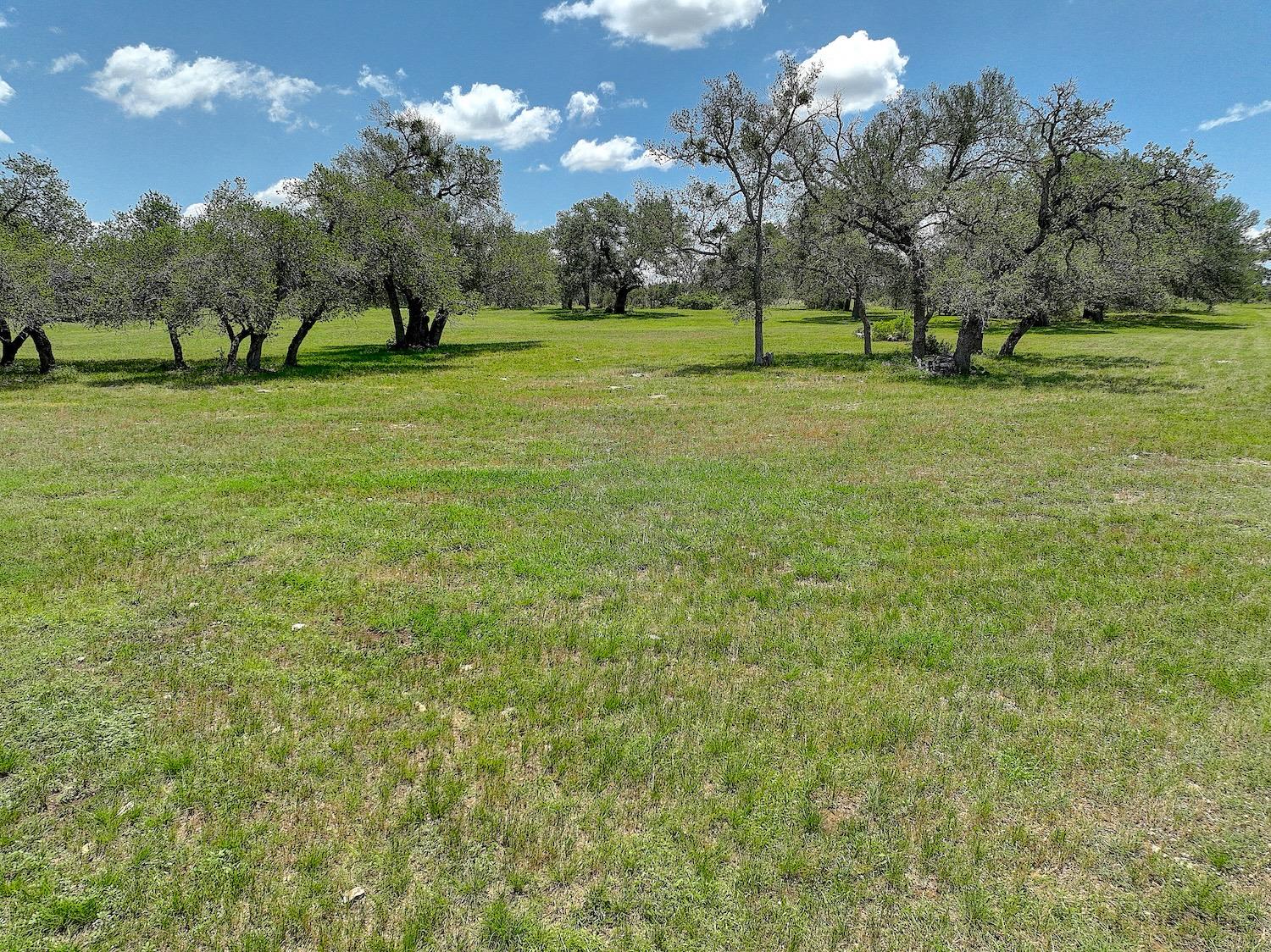 3514 Fm 3509, Burnet, TX 78611