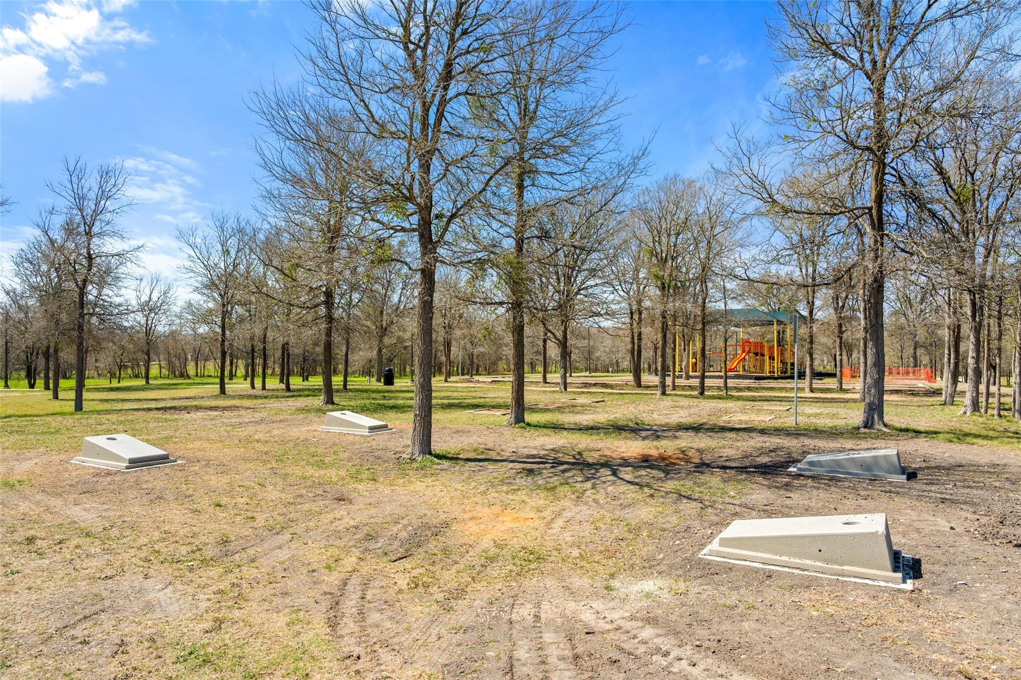 12517 Cockatoo Xing, Manor, TX 78653