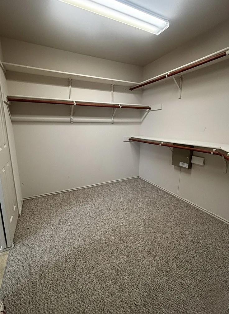 1509 Jackie Robinson Pl, Round Rock, TX 78665