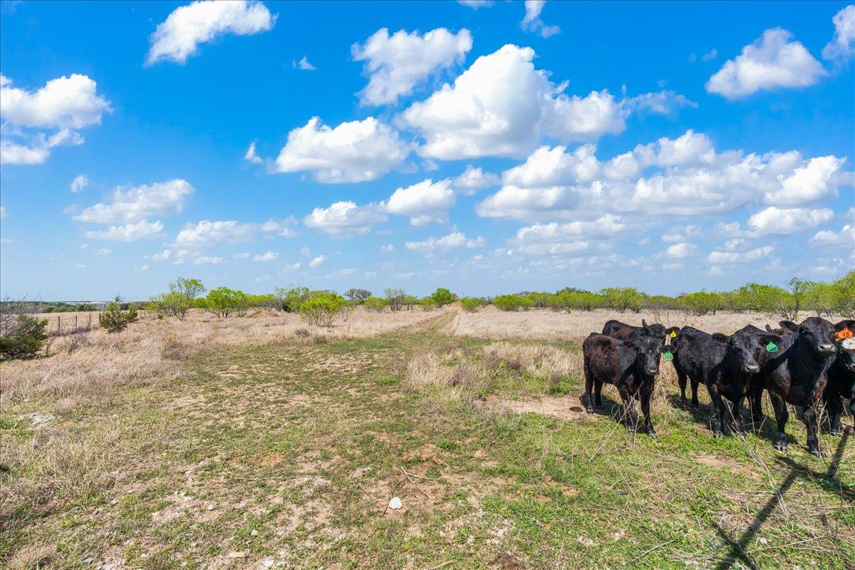 300 County Road 407, Spicewood, TX 78669