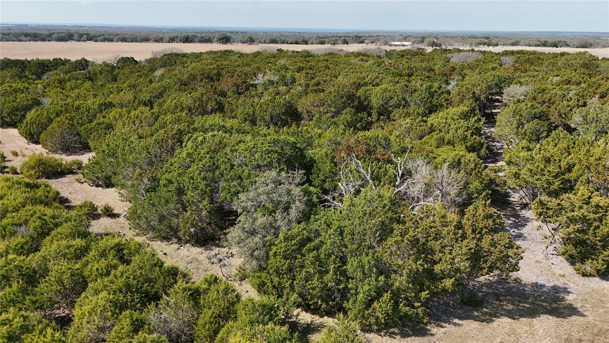 Lot 42 Starfall Dr, Lampasas, TX 76550