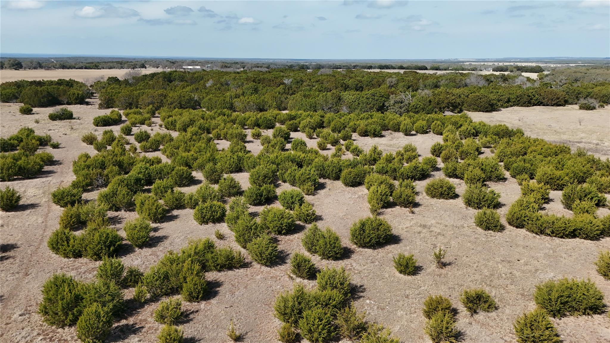 Lot 42 Starfall Dr, Lampasas, TX 76550