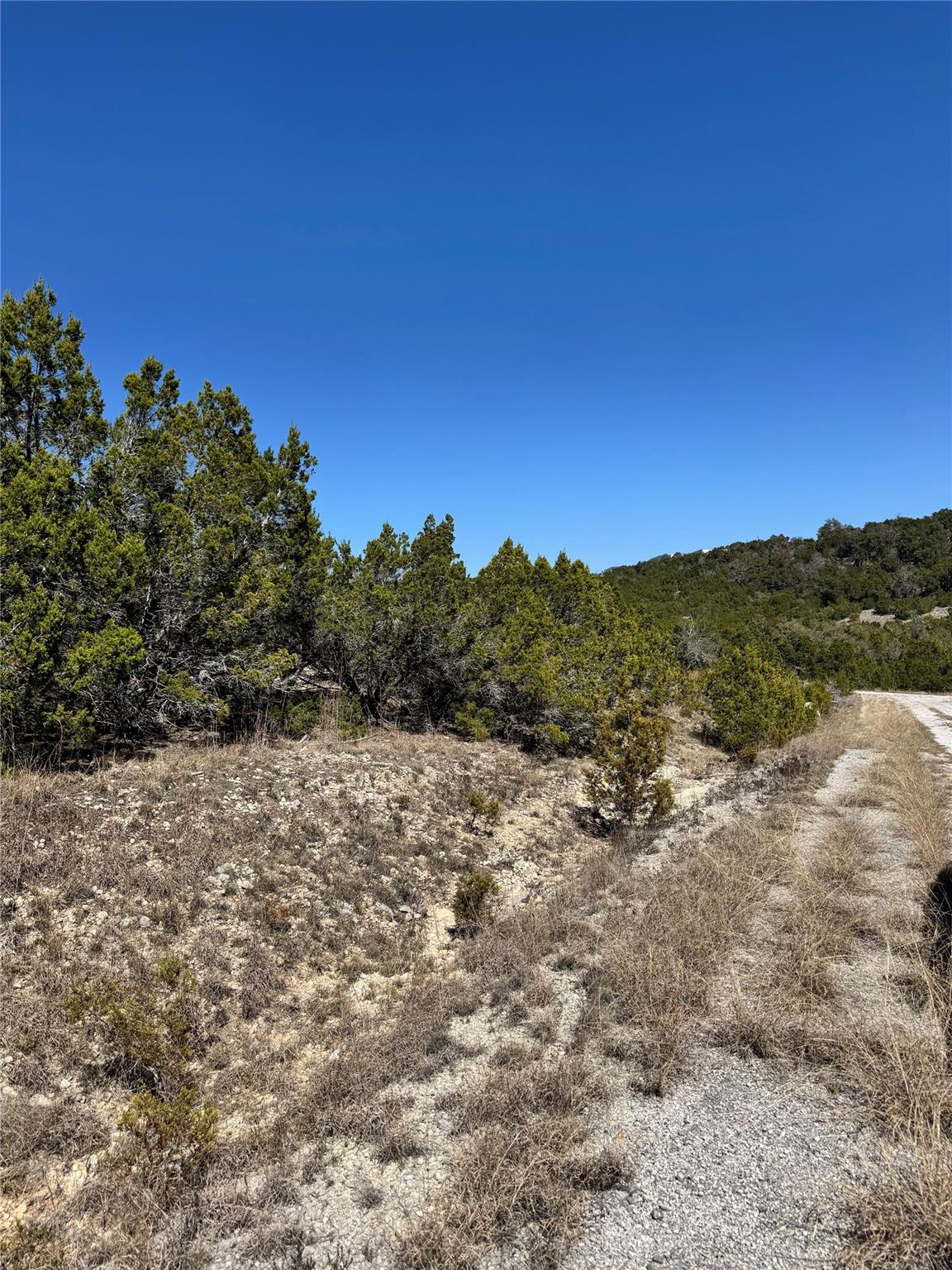 8700 Tegua Cv, Lago Vista, TX 78645