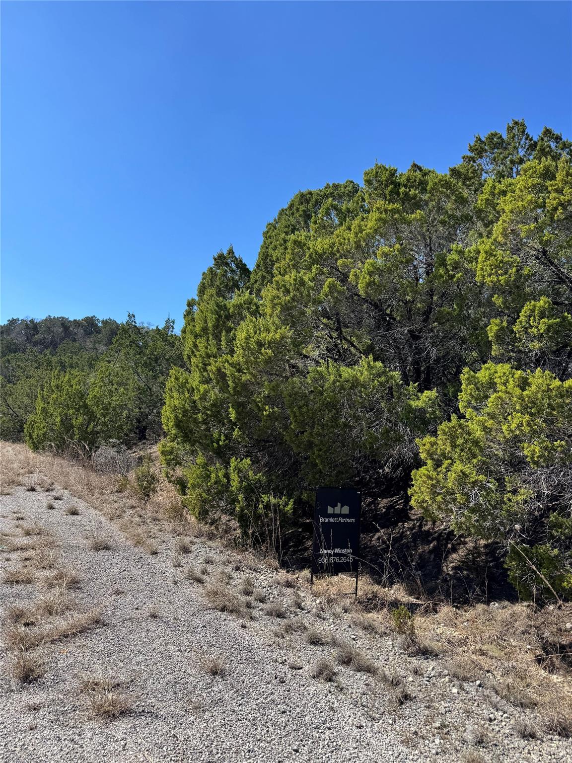 8700 Tegua Cv, Lago Vista, TX 78645