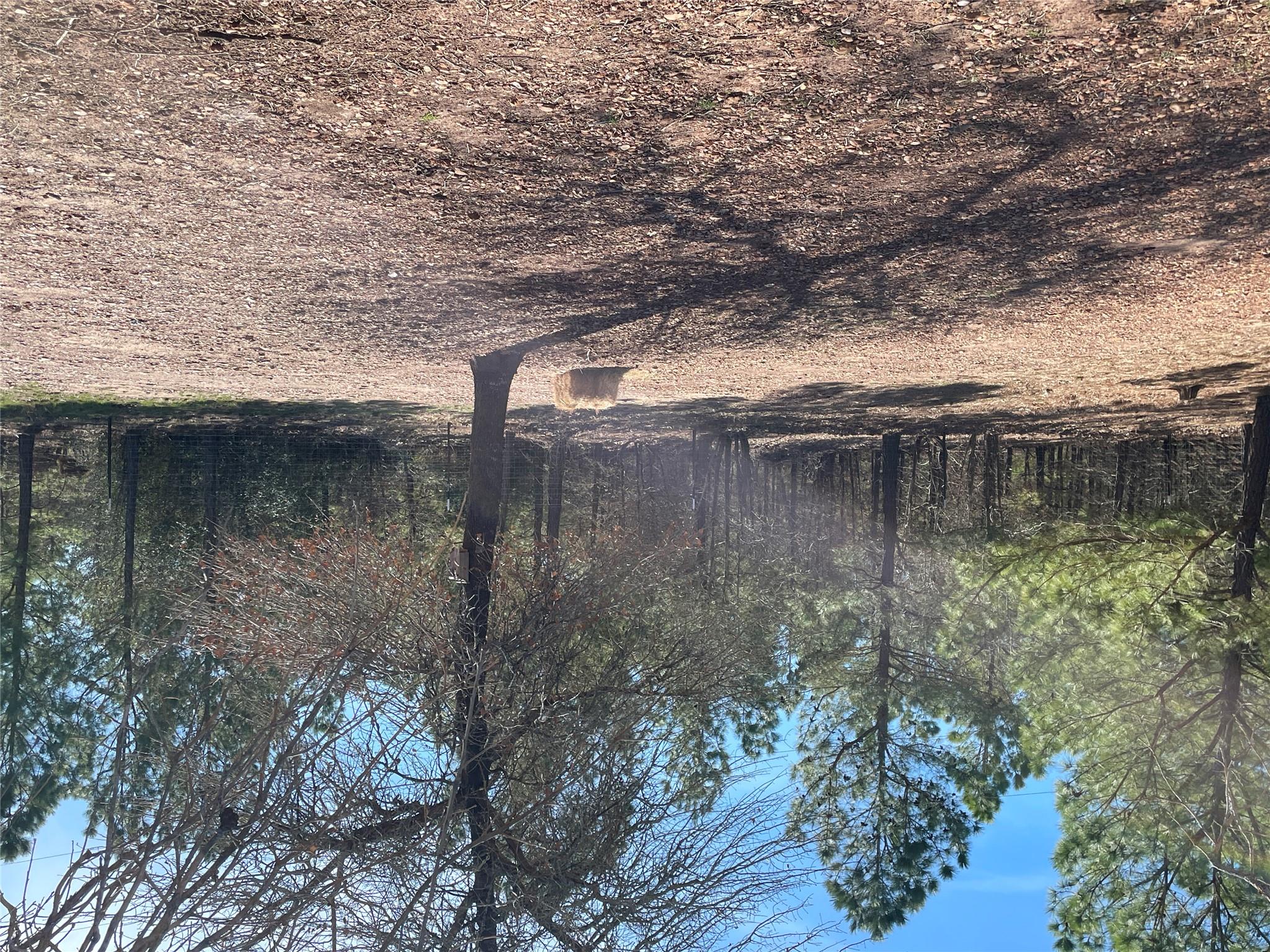 278 Winfield Thicket Rd, Bastrop, TX 78602