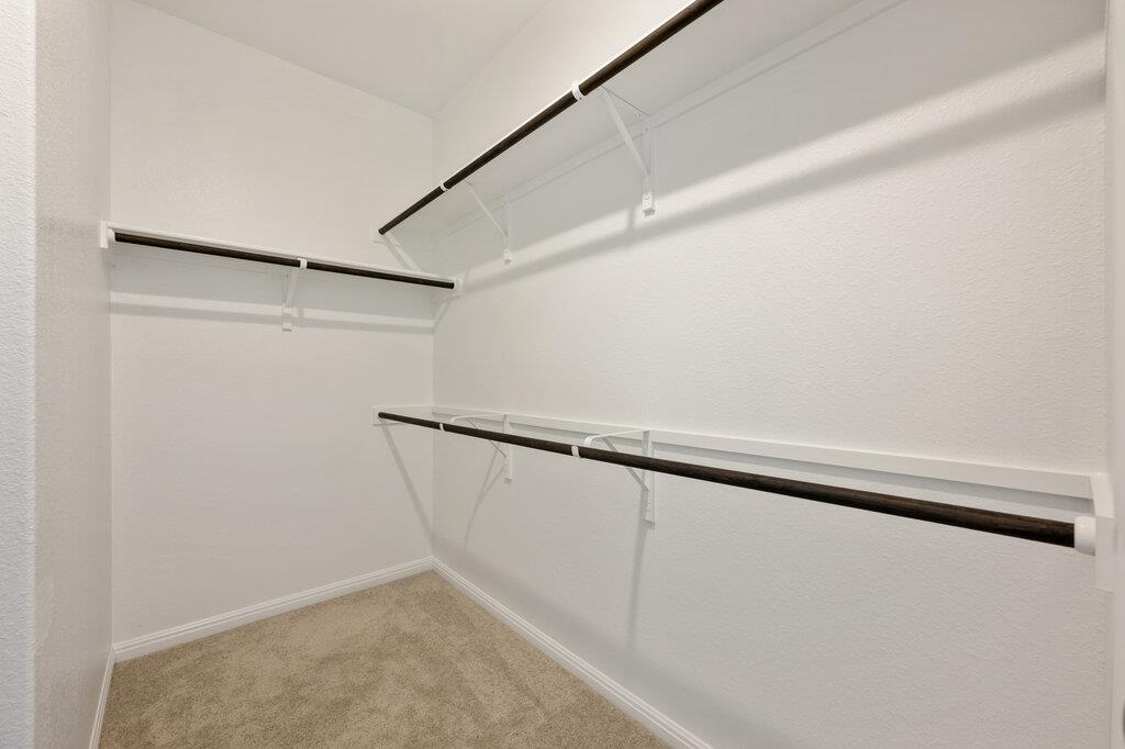 125 Knockout Rose Dr, San Marcos, TX 78666