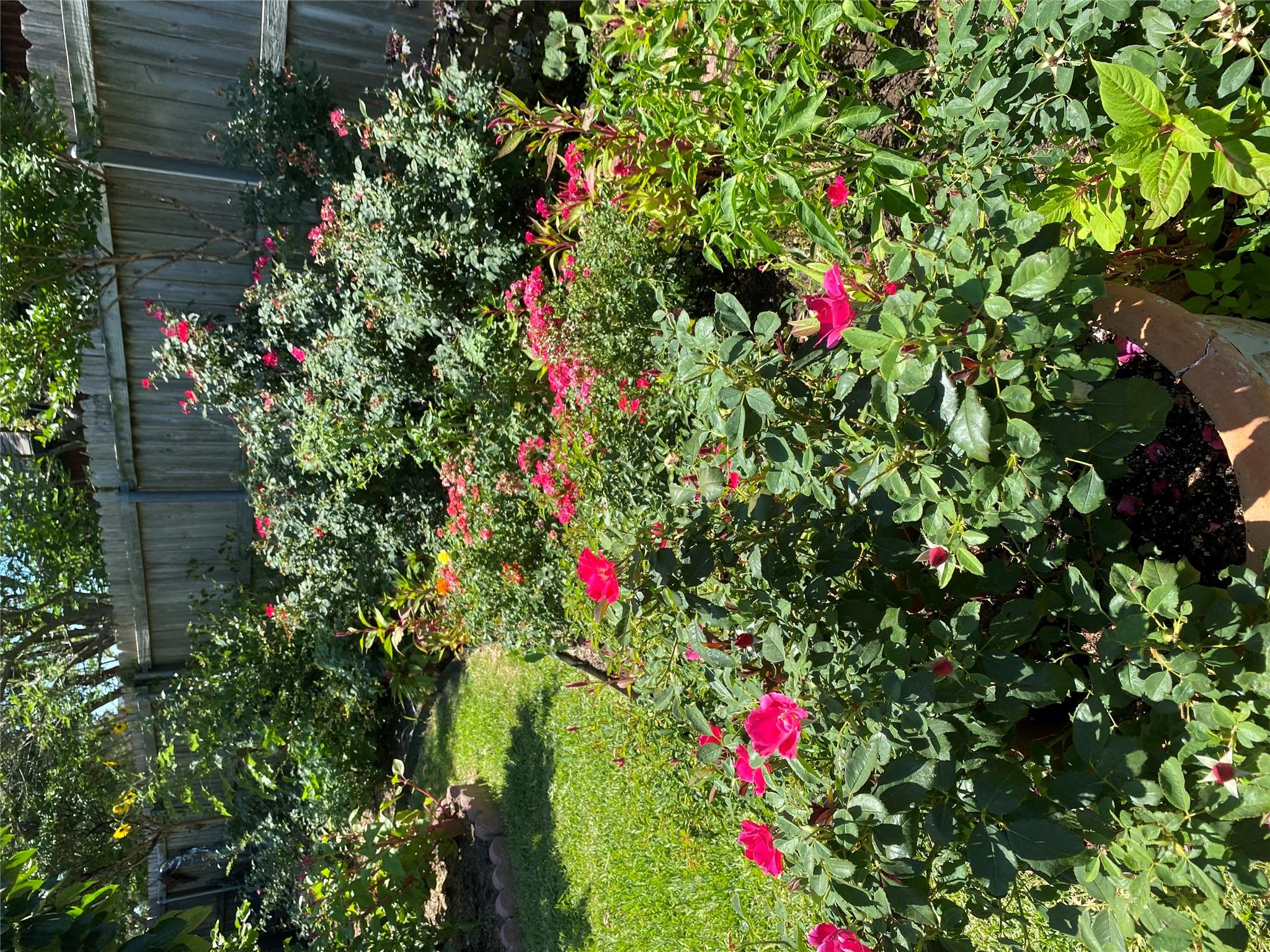 2102 Ocelot Cir, Harker Heights, TX 76548