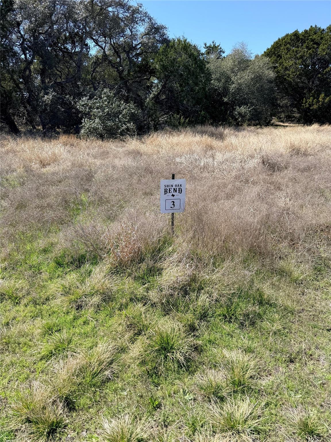 00 Riparian Elm Rd # 3, Bertram, TX 78605