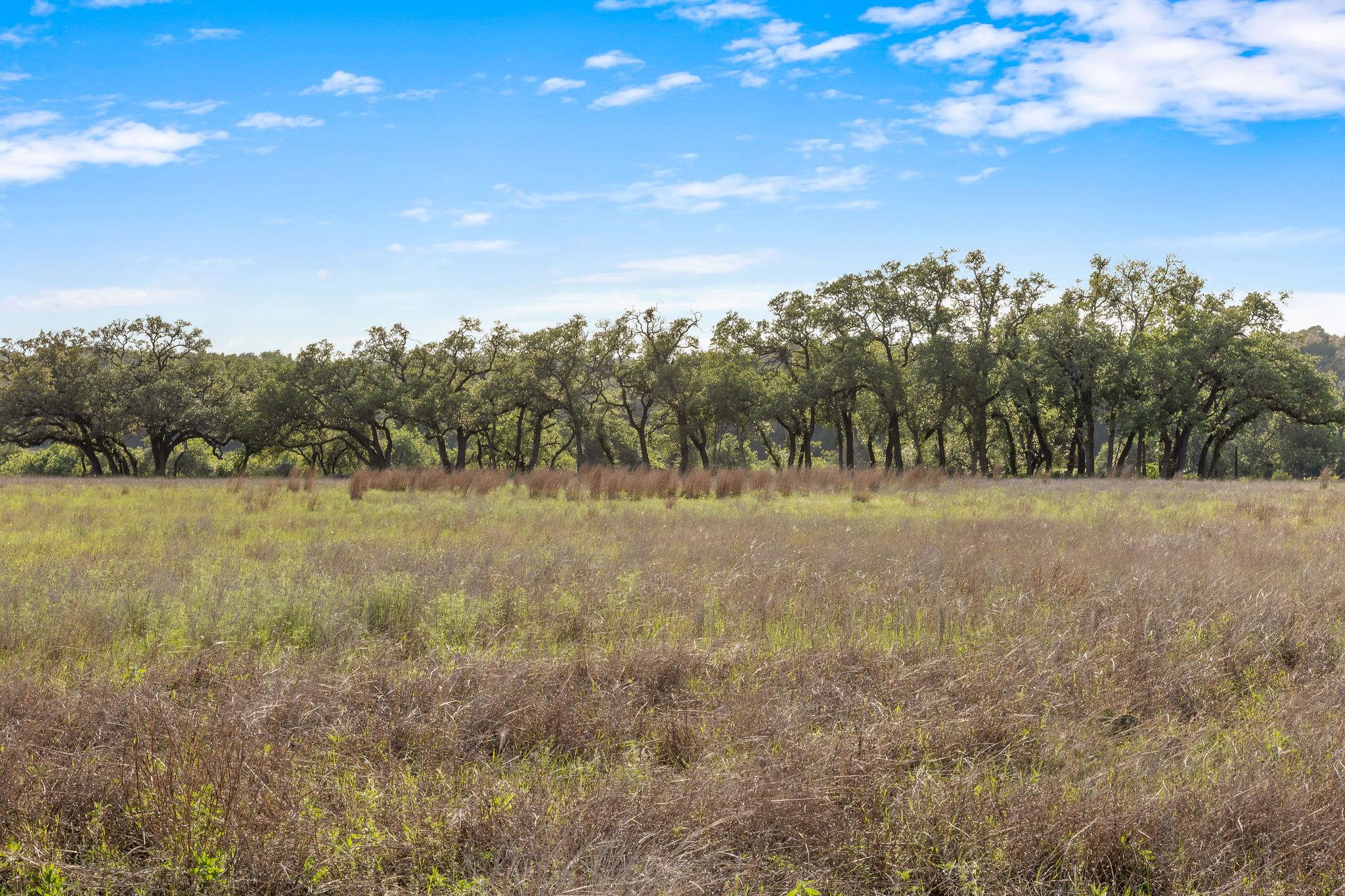 103 Mount Gainor Rd, Dripping Springs, TX 78620