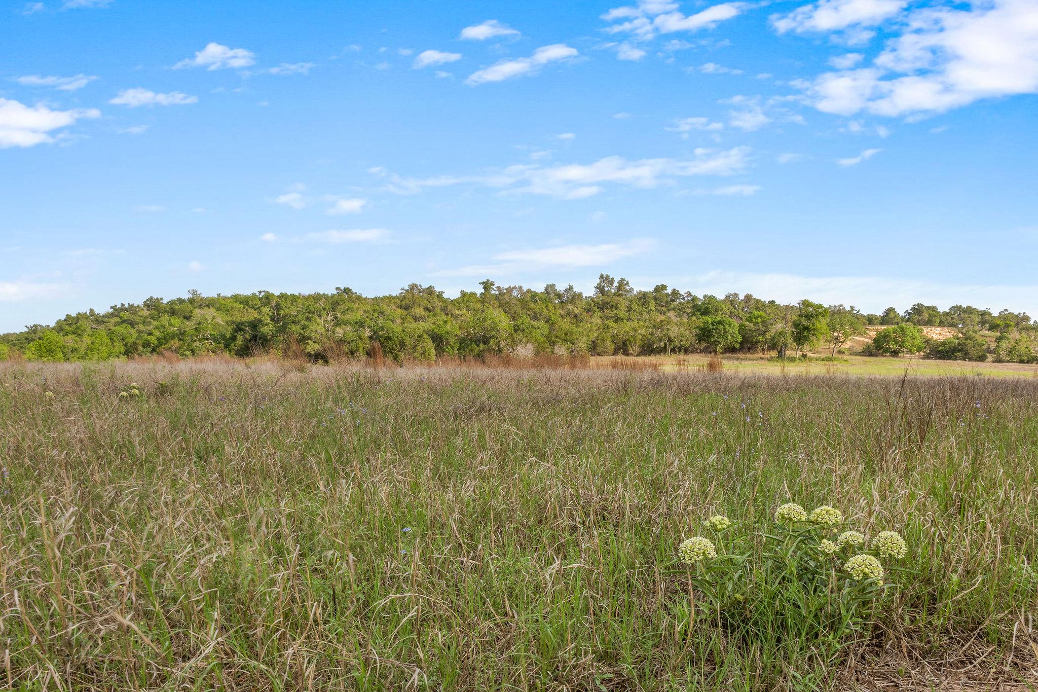 103 Mount Gainor Rd, Dripping Springs, TX 78620