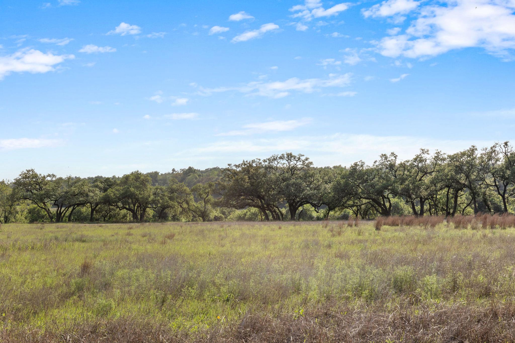 103 Mount Gainor Rd, Dripping Springs, TX 78620