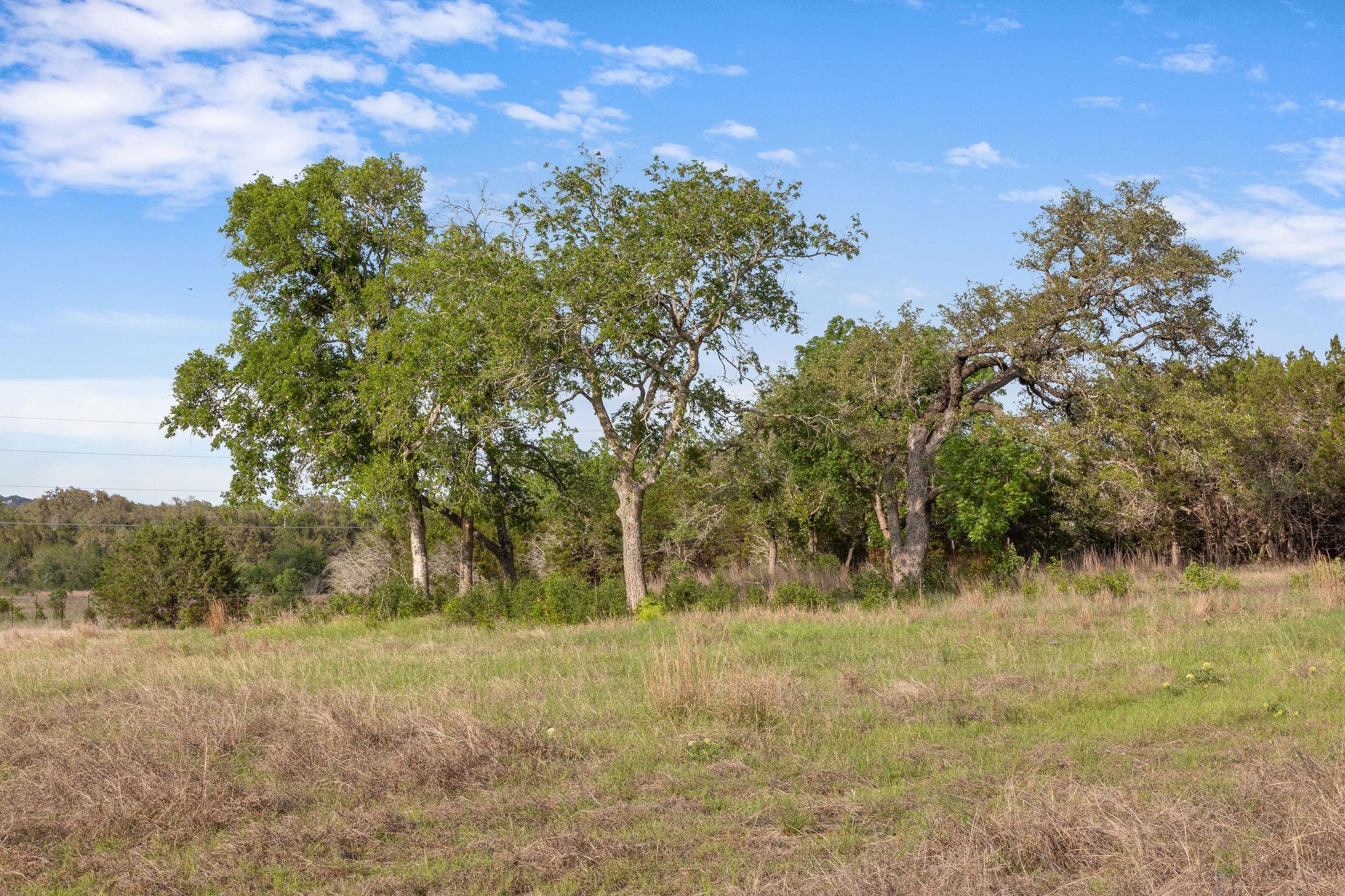 103 Mount Gainor Rd, Dripping Springs, TX 78620