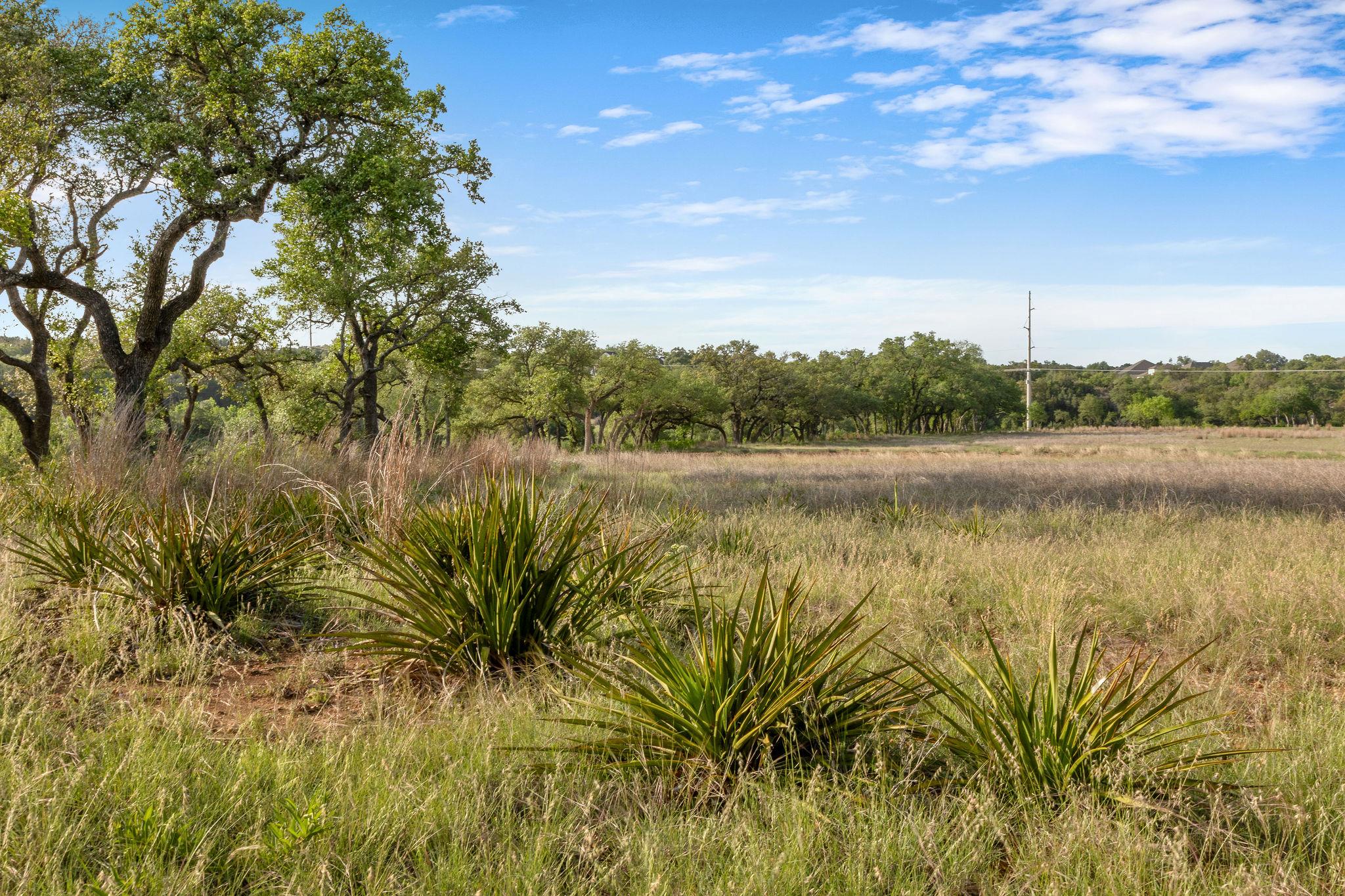 103 Mount Gainor Rd, Dripping Springs, TX 78620