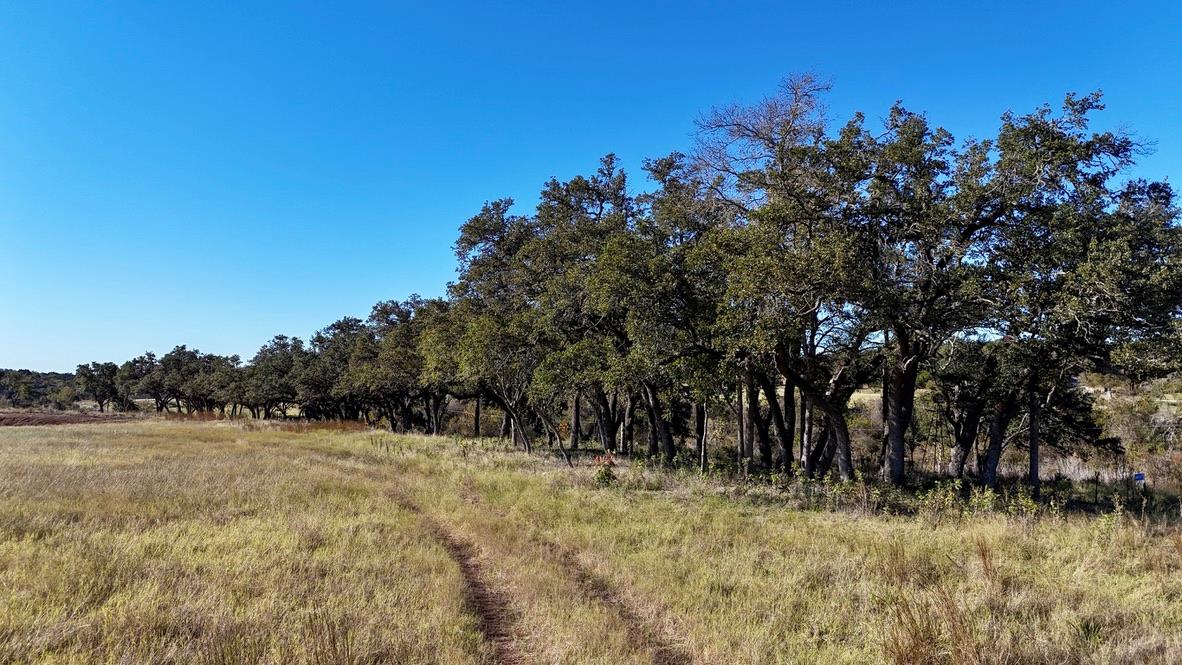 103 Mount Gainor Rd, Dripping Springs, TX 78620