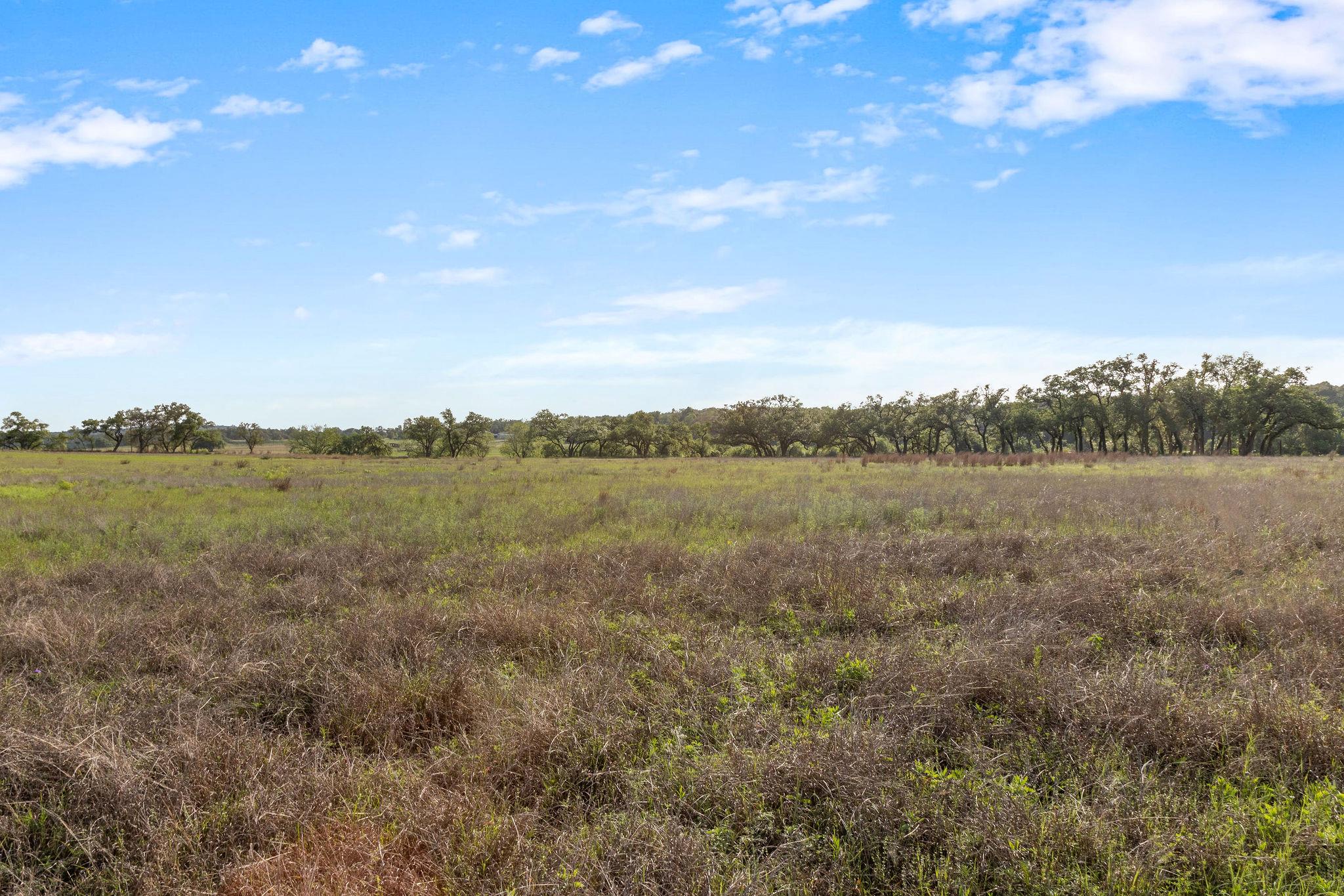 103 Mount Gainor Rd, Dripping Springs, TX 78620