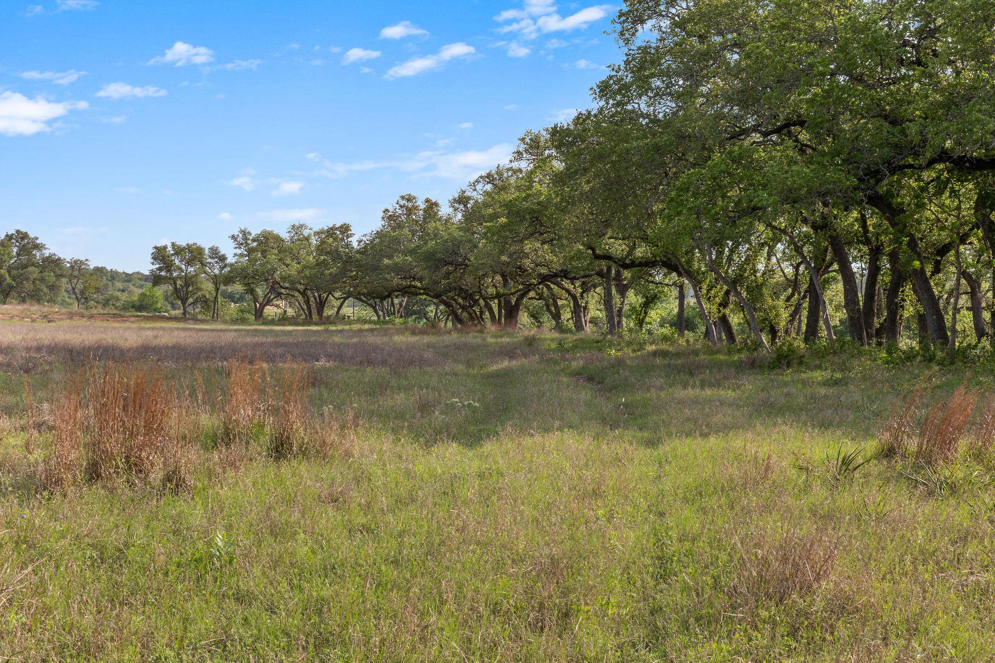 103 Mount Gainor Rd, Dripping Springs, TX 78620