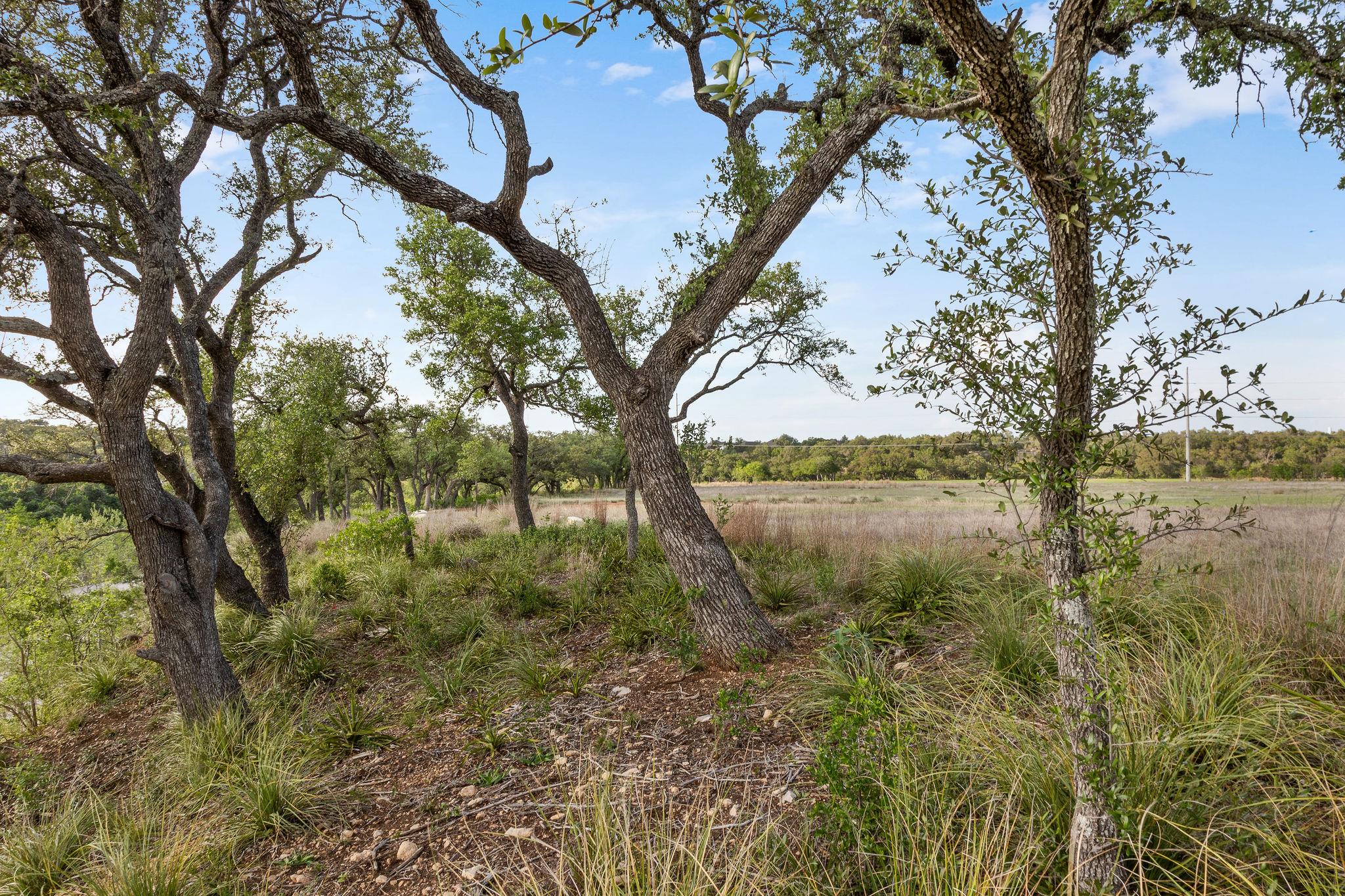 103 Mount Gainor Rd, Dripping Springs, TX 78620