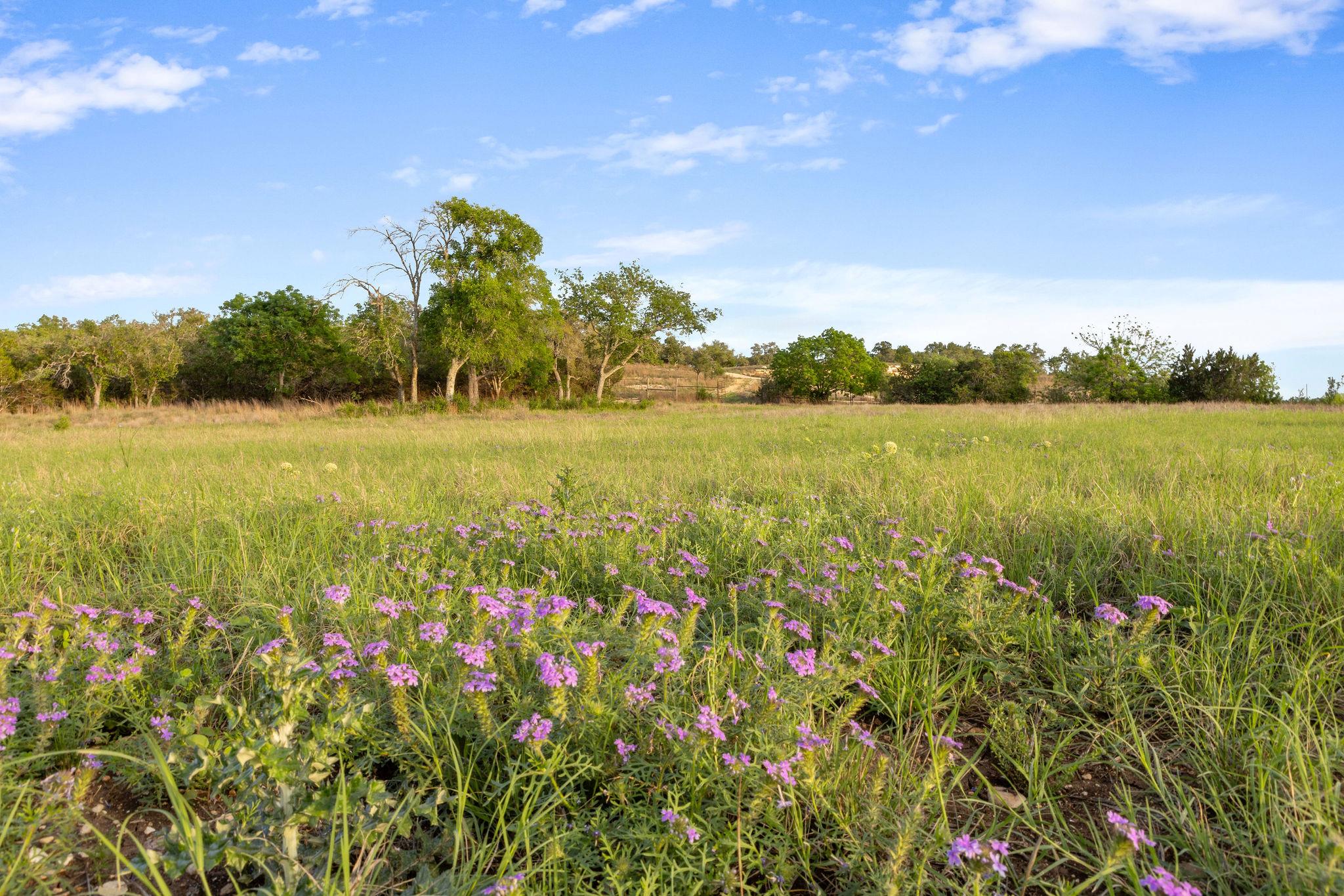 103 Mount Gainor Rd, Dripping Springs, TX 78620