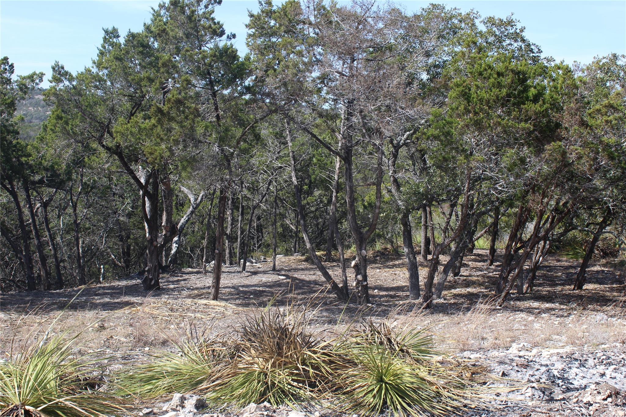 2102 Montell Rd, Wimberley, TX 78676