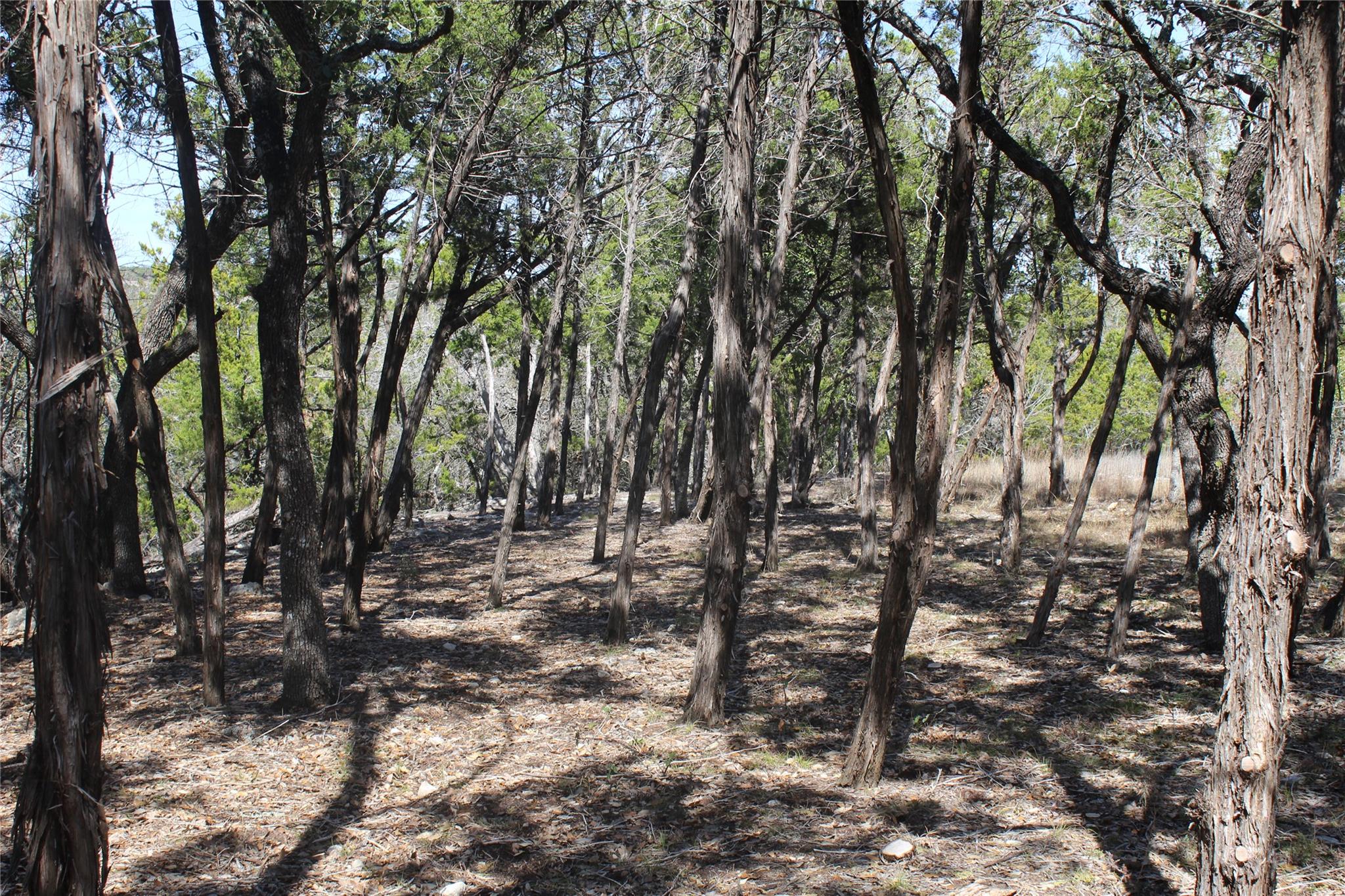 2102 Montell Rd, Wimberley, TX 78676