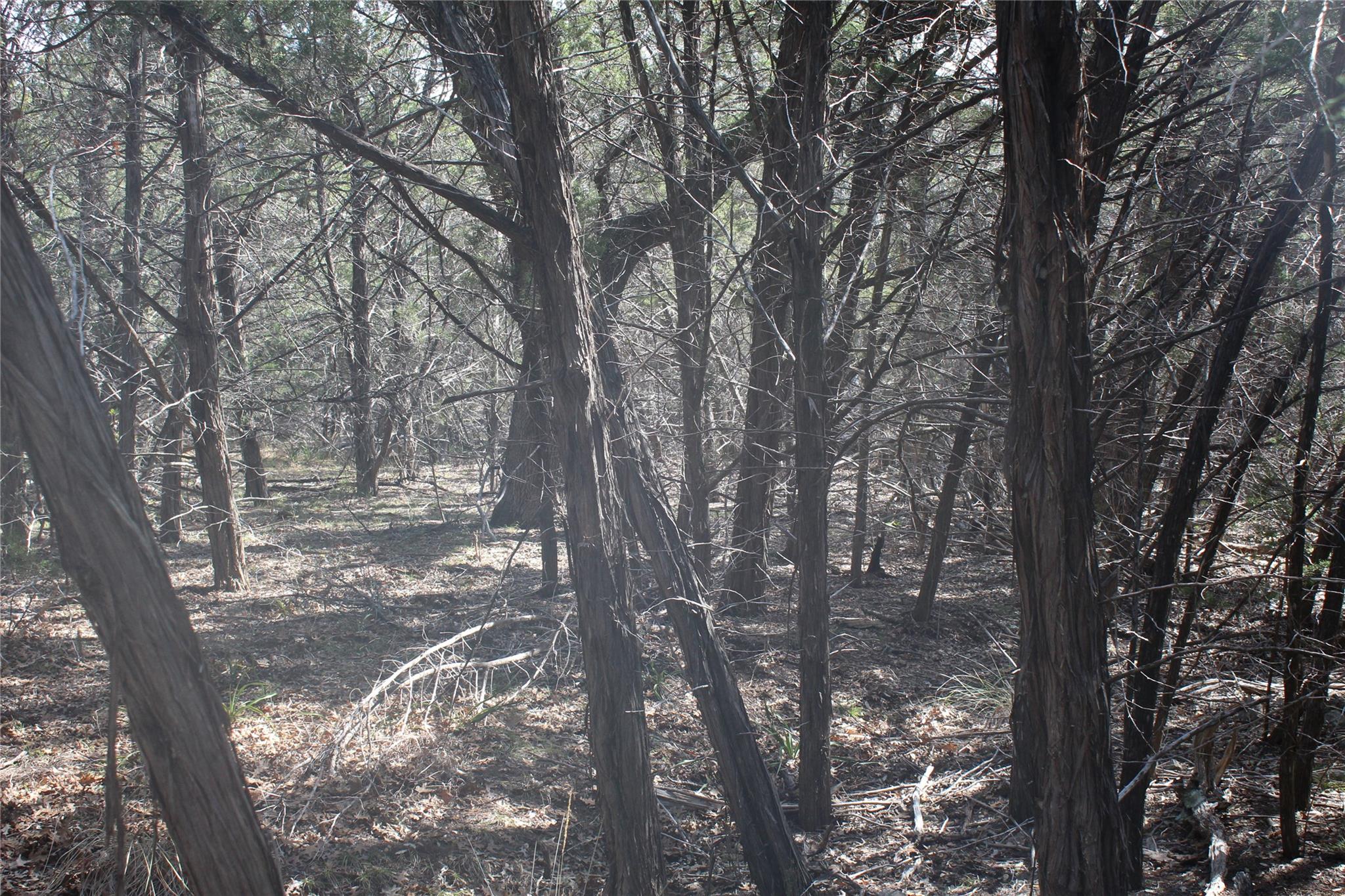 2102 Montell Rd, Wimberley, TX 78676