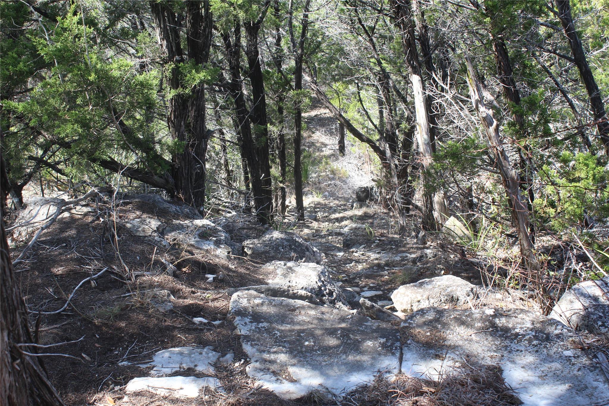 2102 Montell Rd, Wimberley, TX 78676