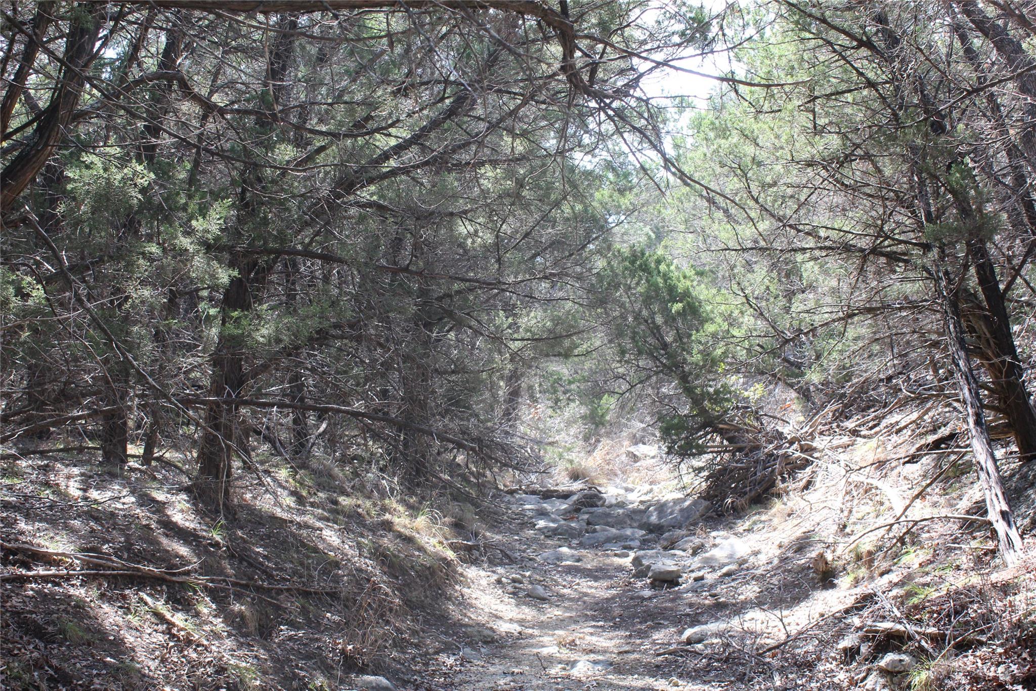 2102 Montell Rd, Wimberley, TX 78676