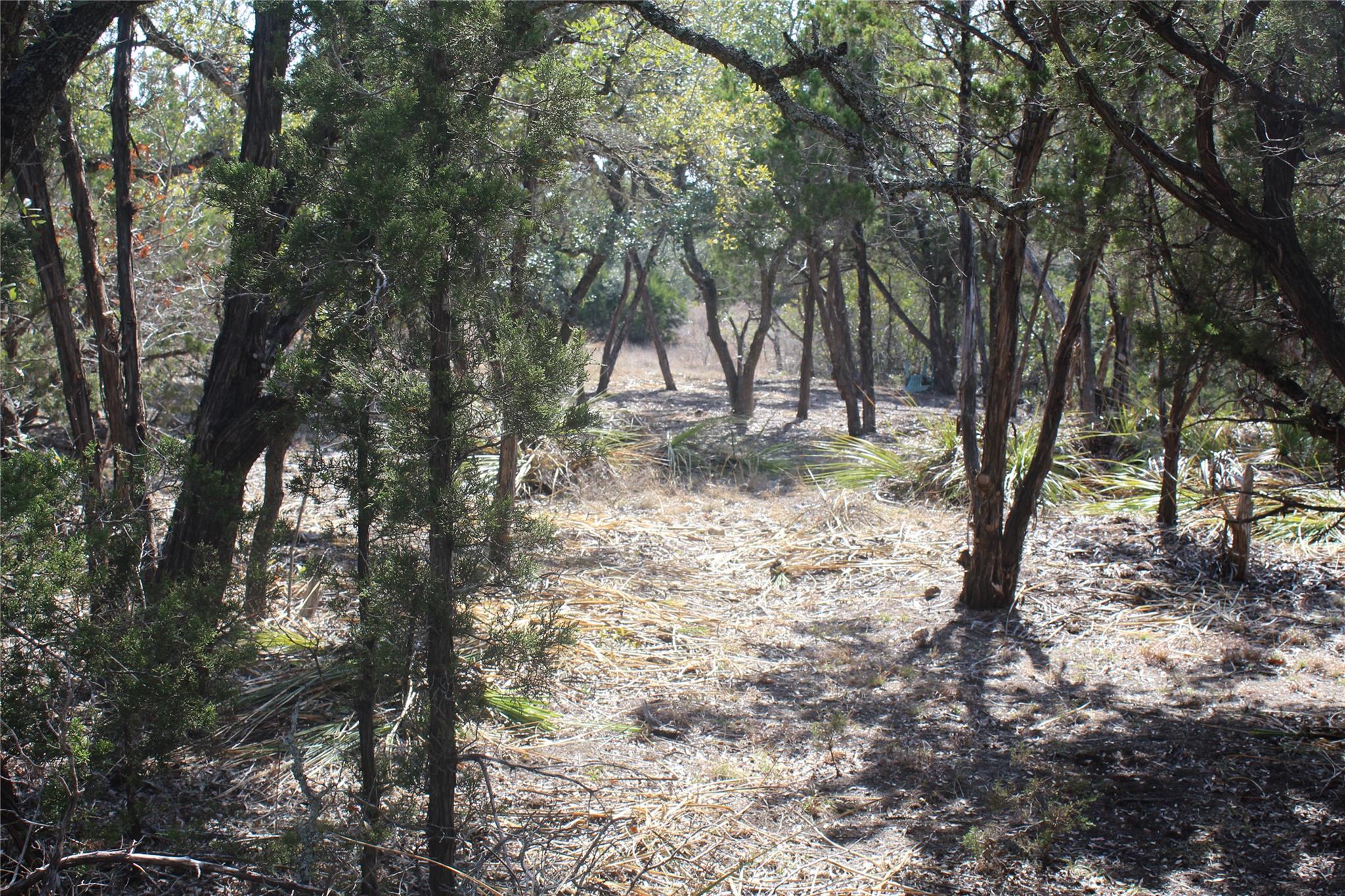 2102 Montell Rd, Wimberley, TX 78676