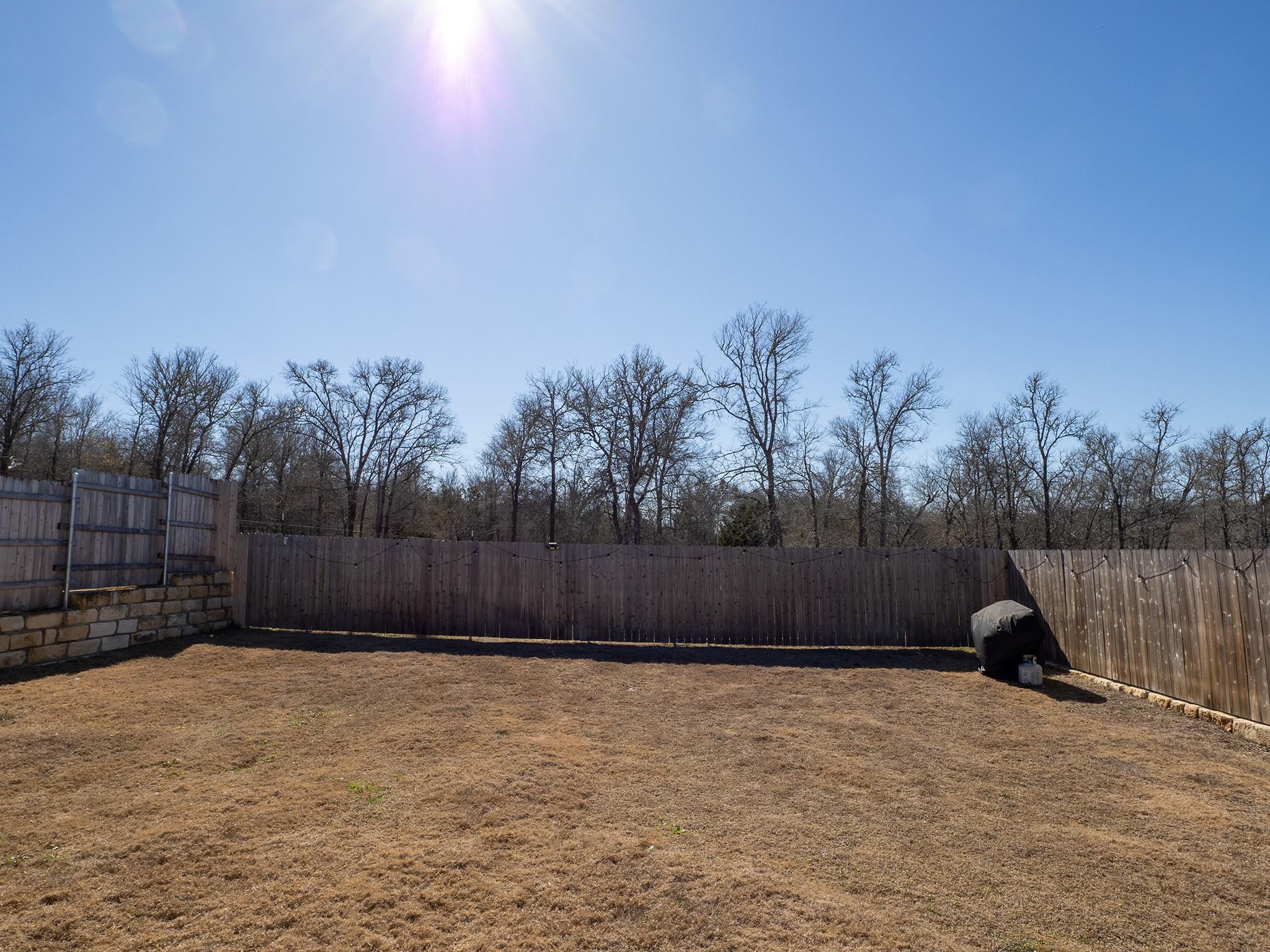 15601 Poppy Petal Dr, Del Valle, TX 78617