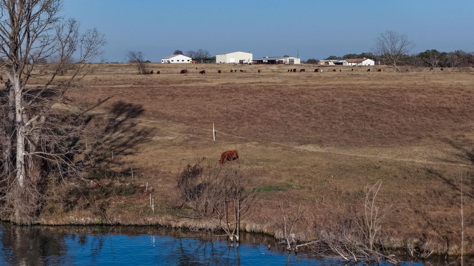 2229 Waterford Grace, New Braunfels, TX 78130