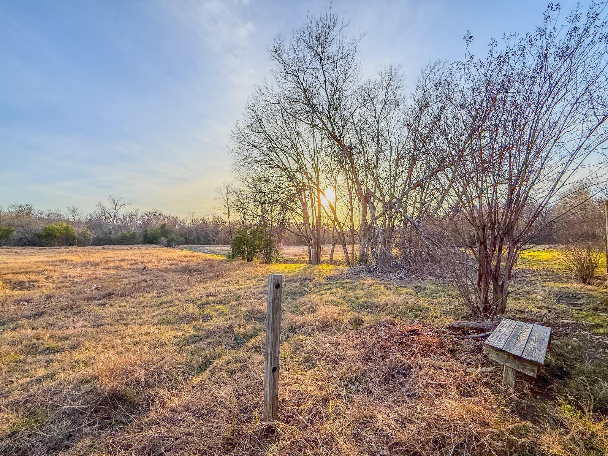 16908 Cactus Blossom Dr, Pflugerville, TX 78660