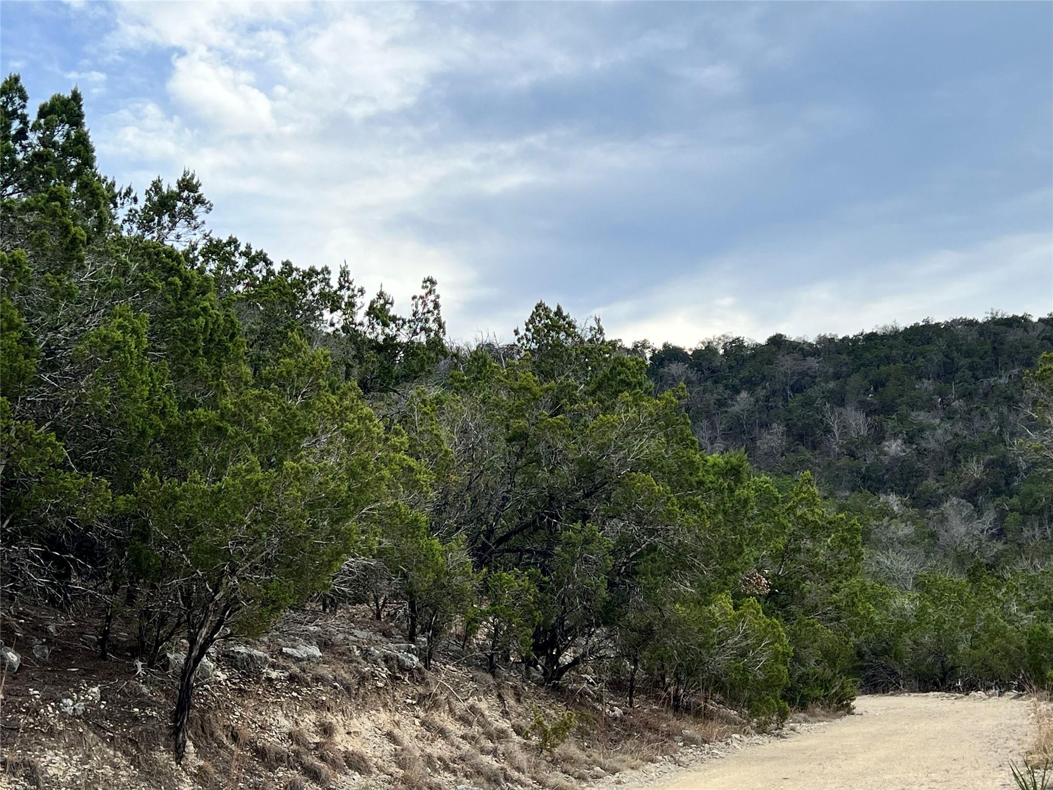 TBD E Reed Parks Rd, Jonestown, TX 78645