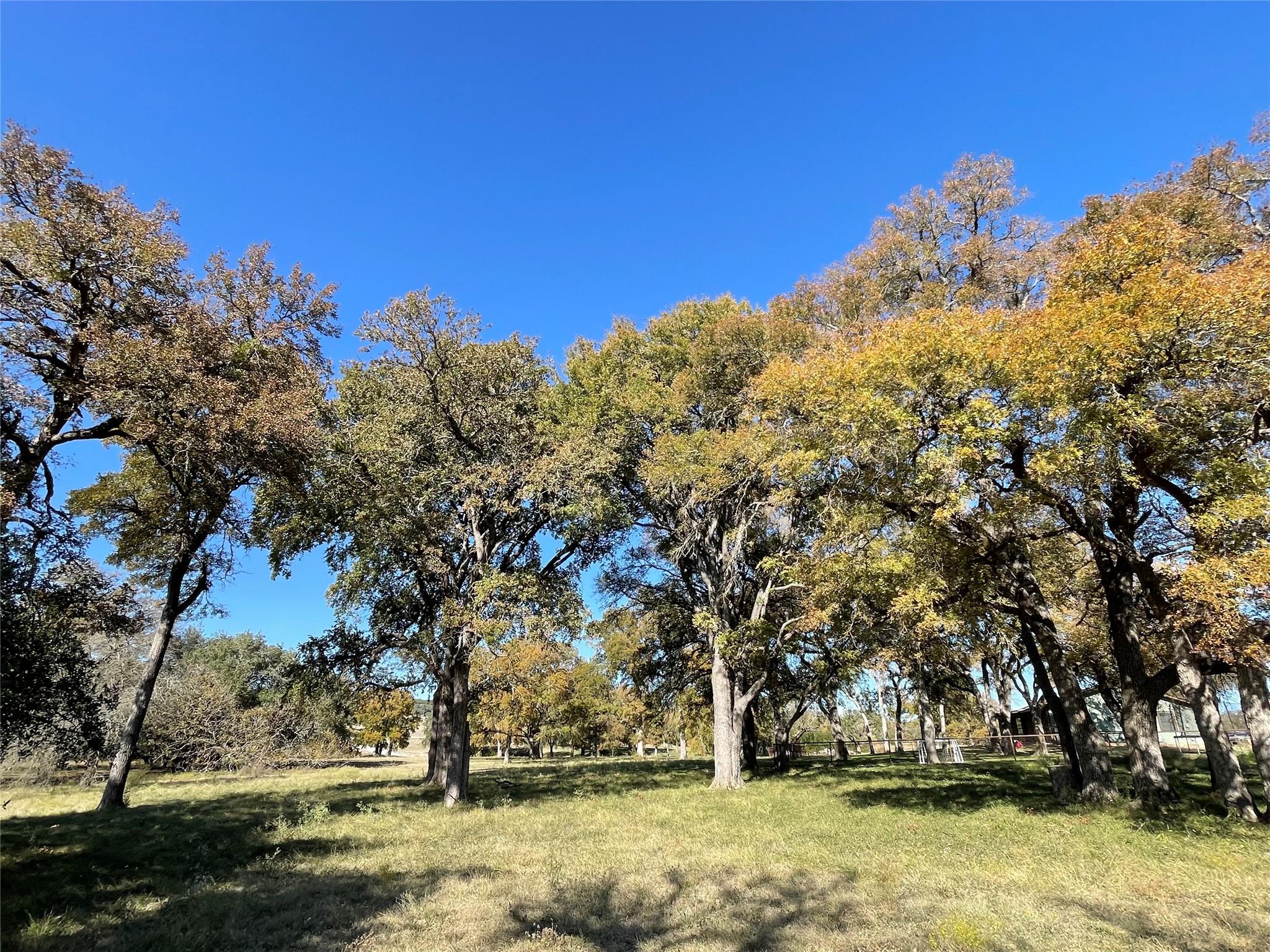 121 Dog Run, Burnet, TX 78611