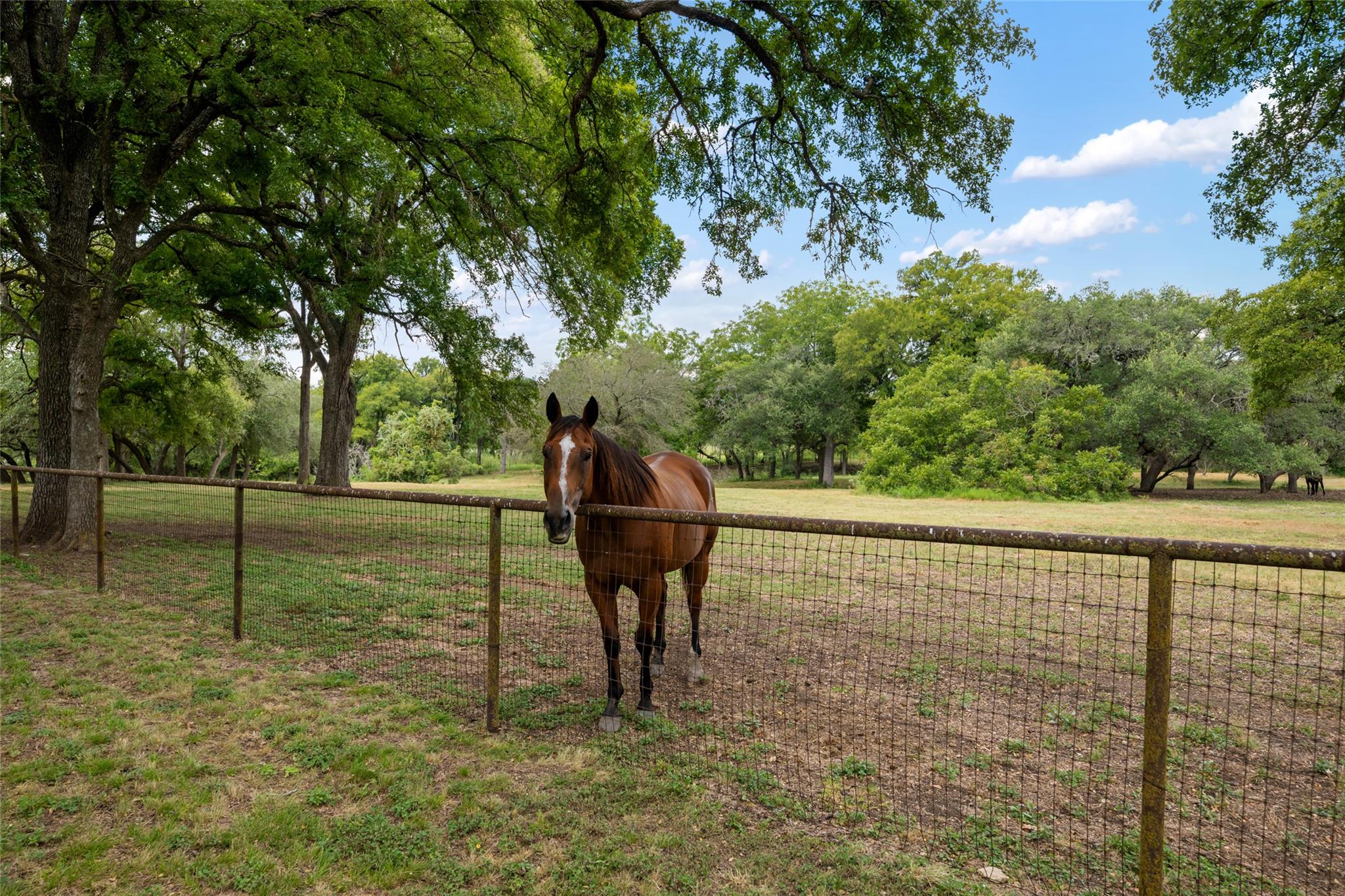 121 Dog Run, Burnet, TX 78611