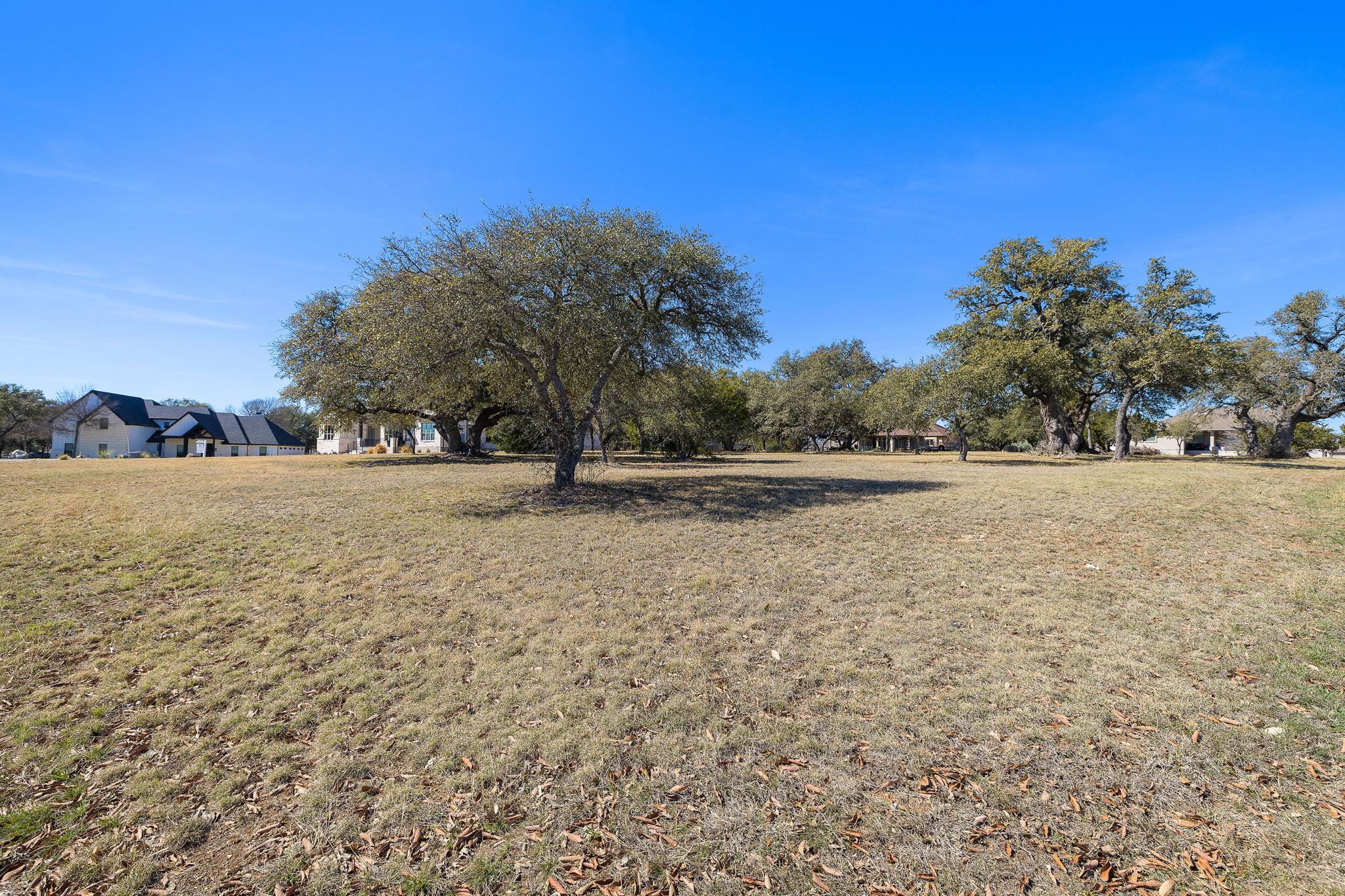 100 Green Branch Ct, Liberty Hill, TX 78642