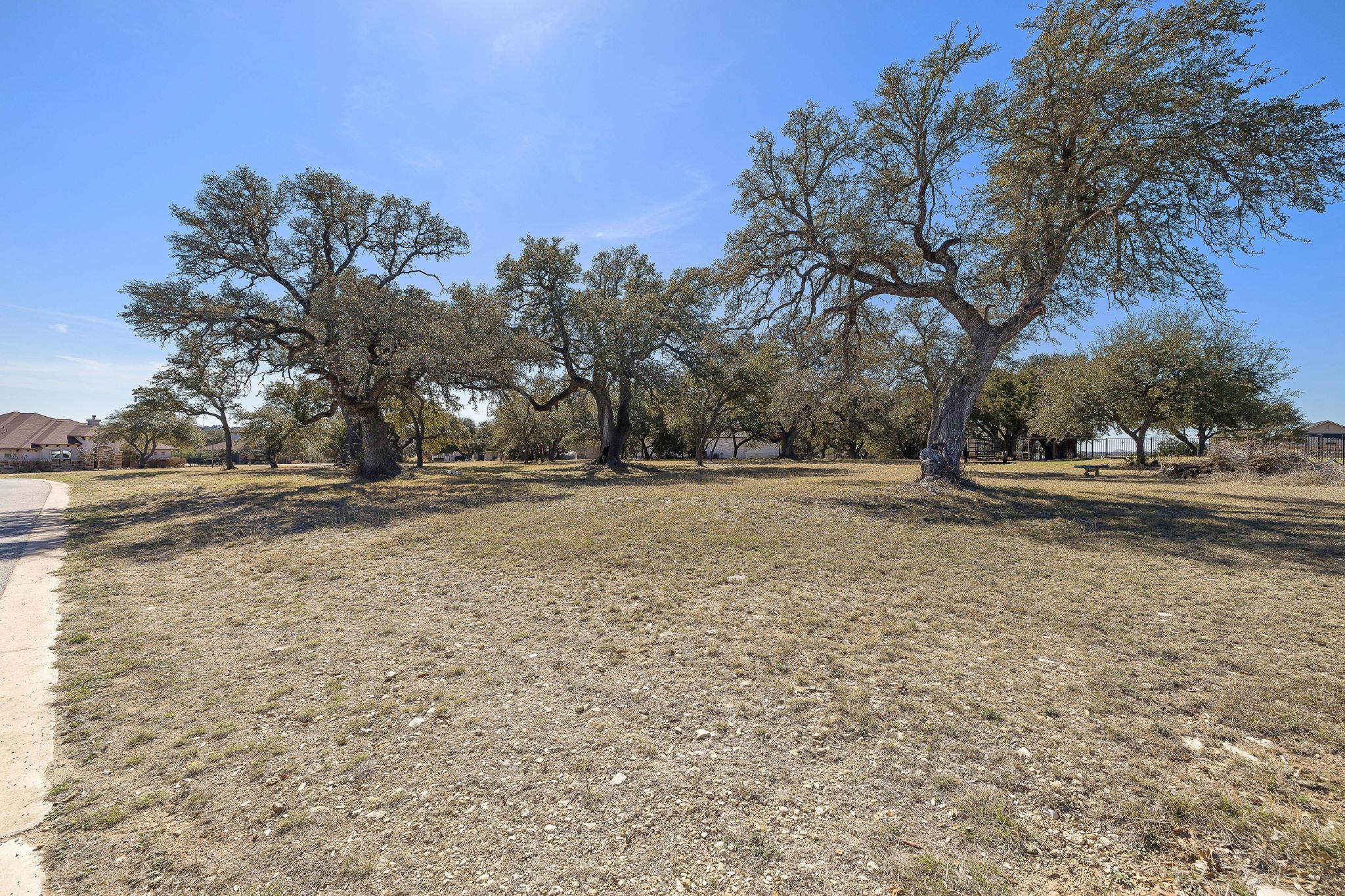 100 Green Branch Ct, Liberty Hill, TX 78642