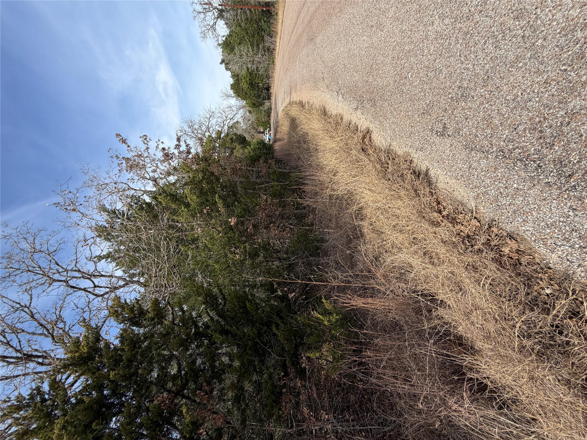 Lot 20 Flint Ridge St, Bastrop, TX 78602