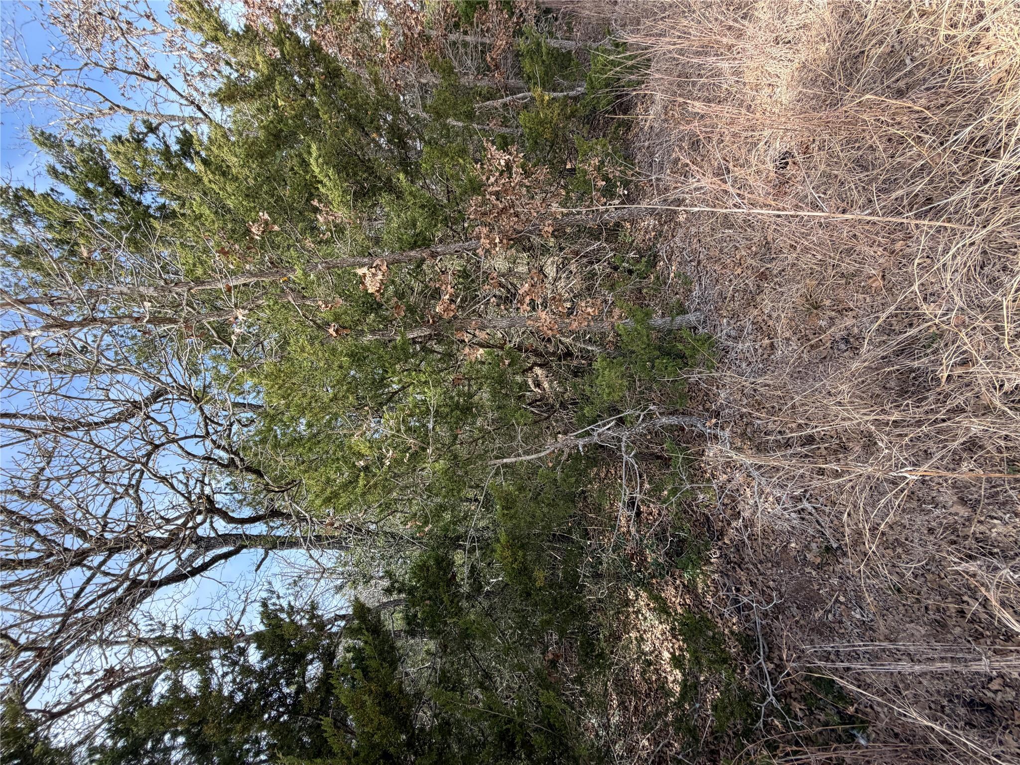 Lot 20 Flint Ridge St, Bastrop, TX 78602