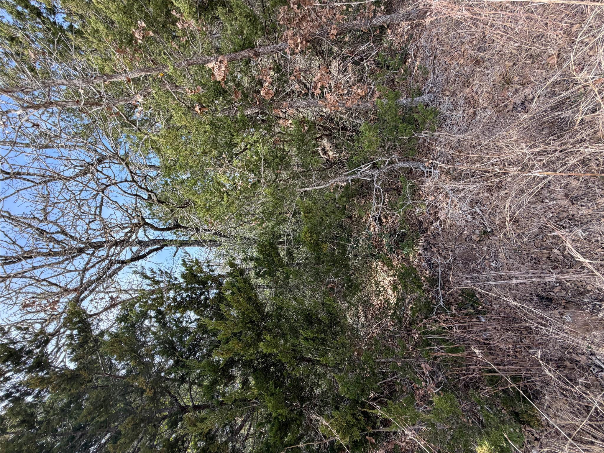 Lot 20 Flint Ridge St, Bastrop, TX 78602