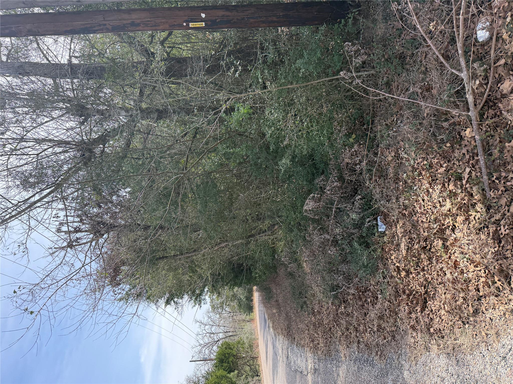 Lot 20 Flint Ridge St, Bastrop, TX 78602