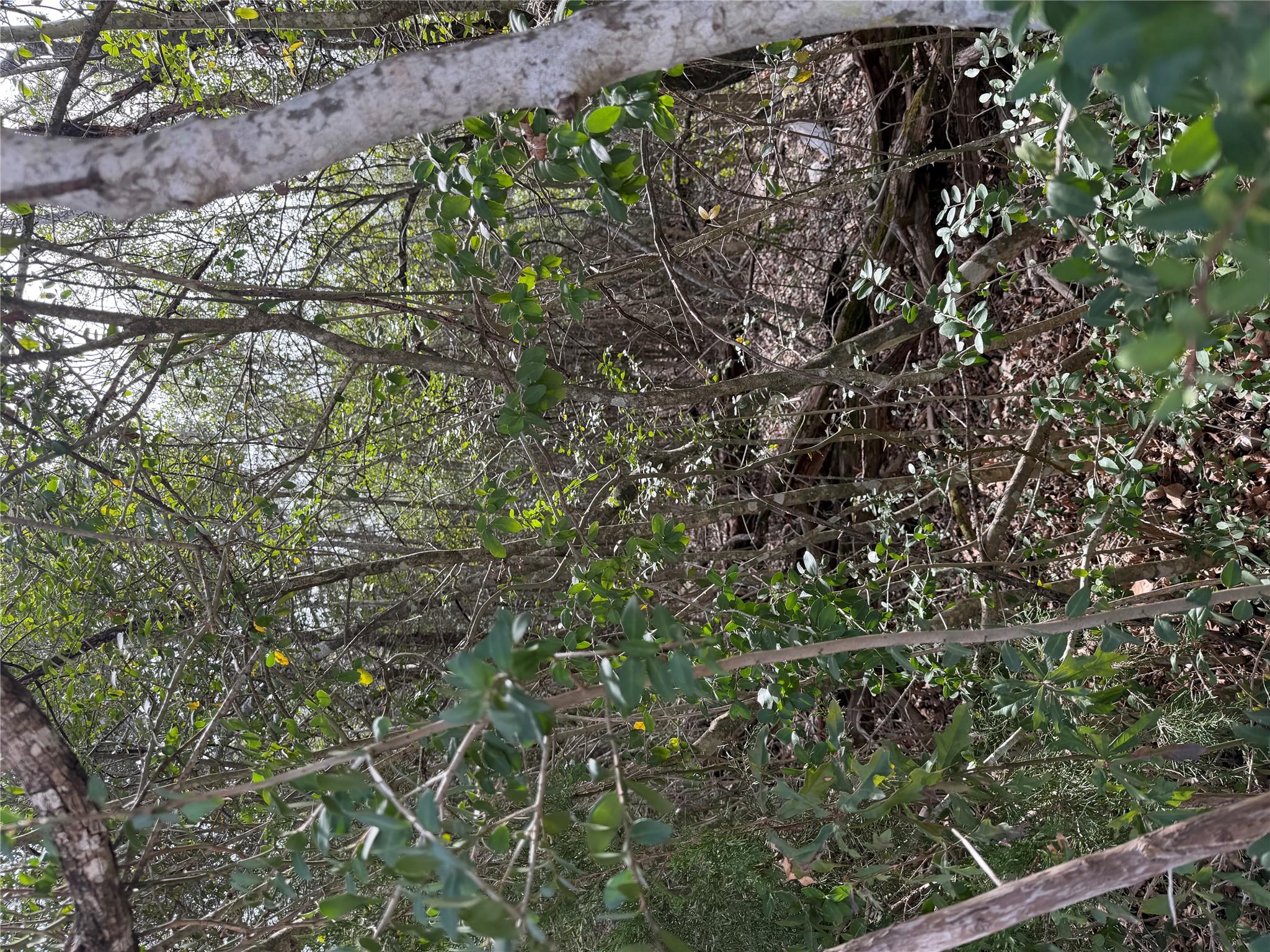 Lot 20 Flint Ridge St, Bastrop, TX 78602