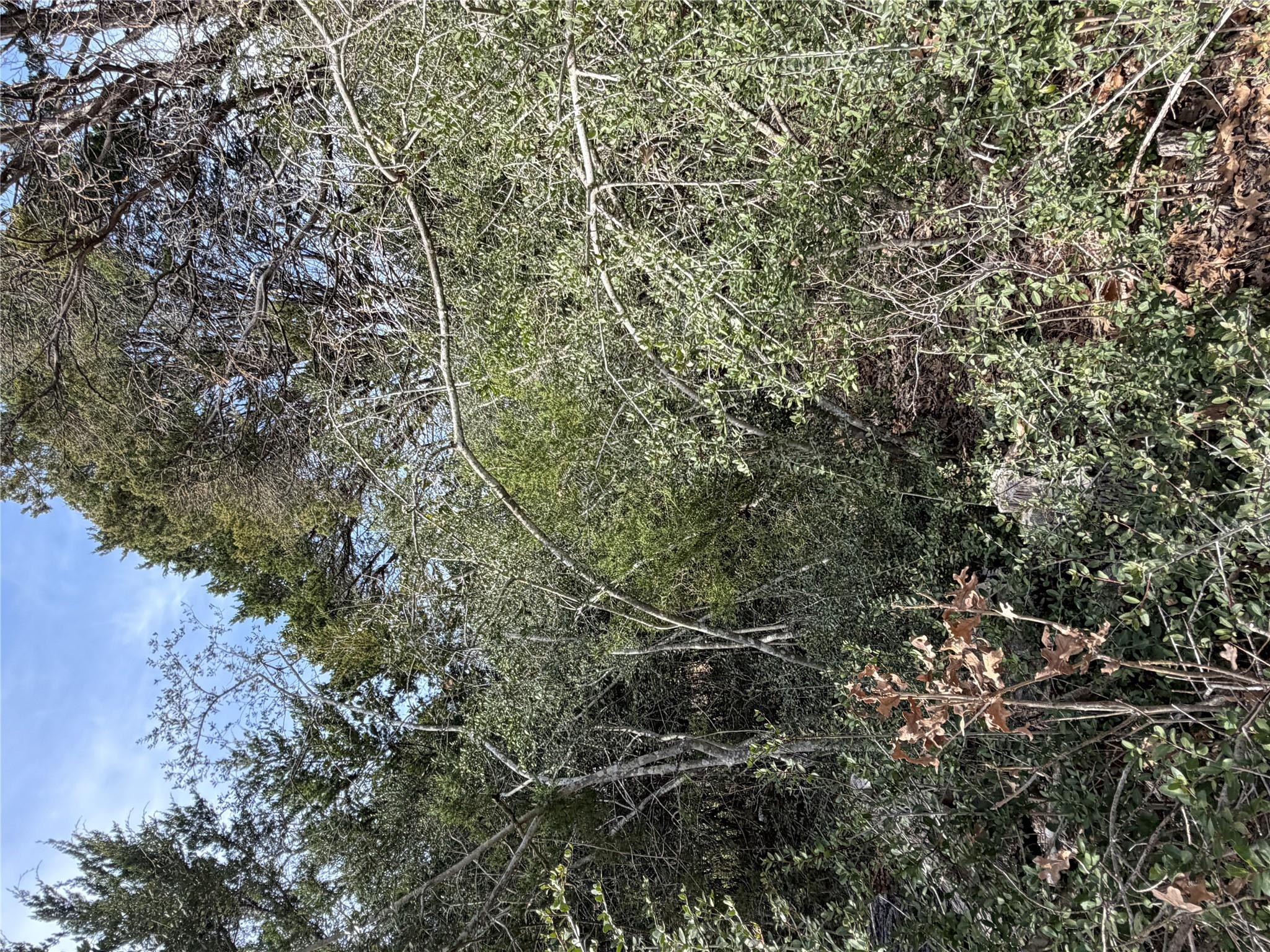 Lot 21 Flint Ridge St, Bastrop, TX 78602