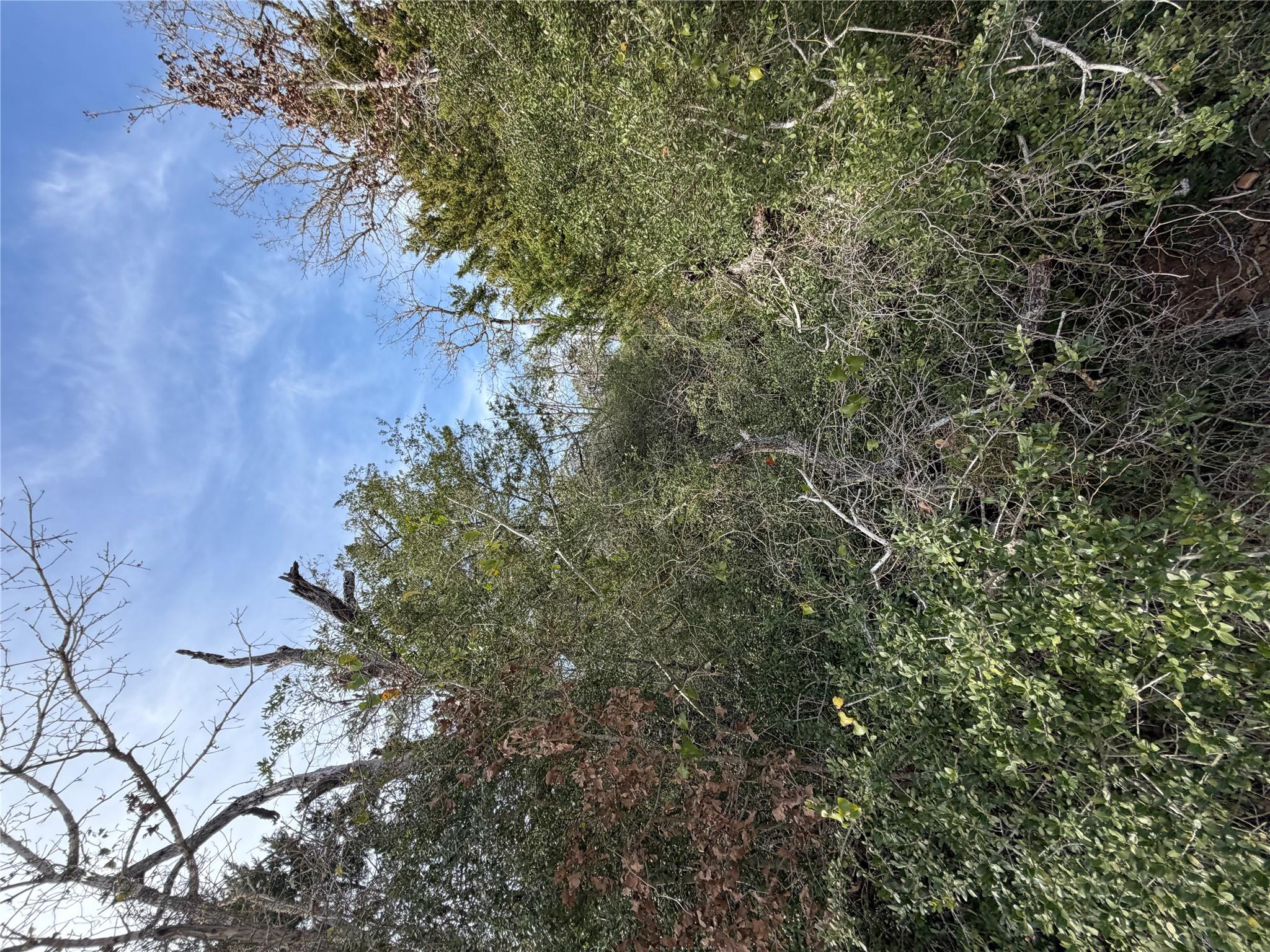 Lot 21 Flint Ridge St, Bastrop, TX 78602