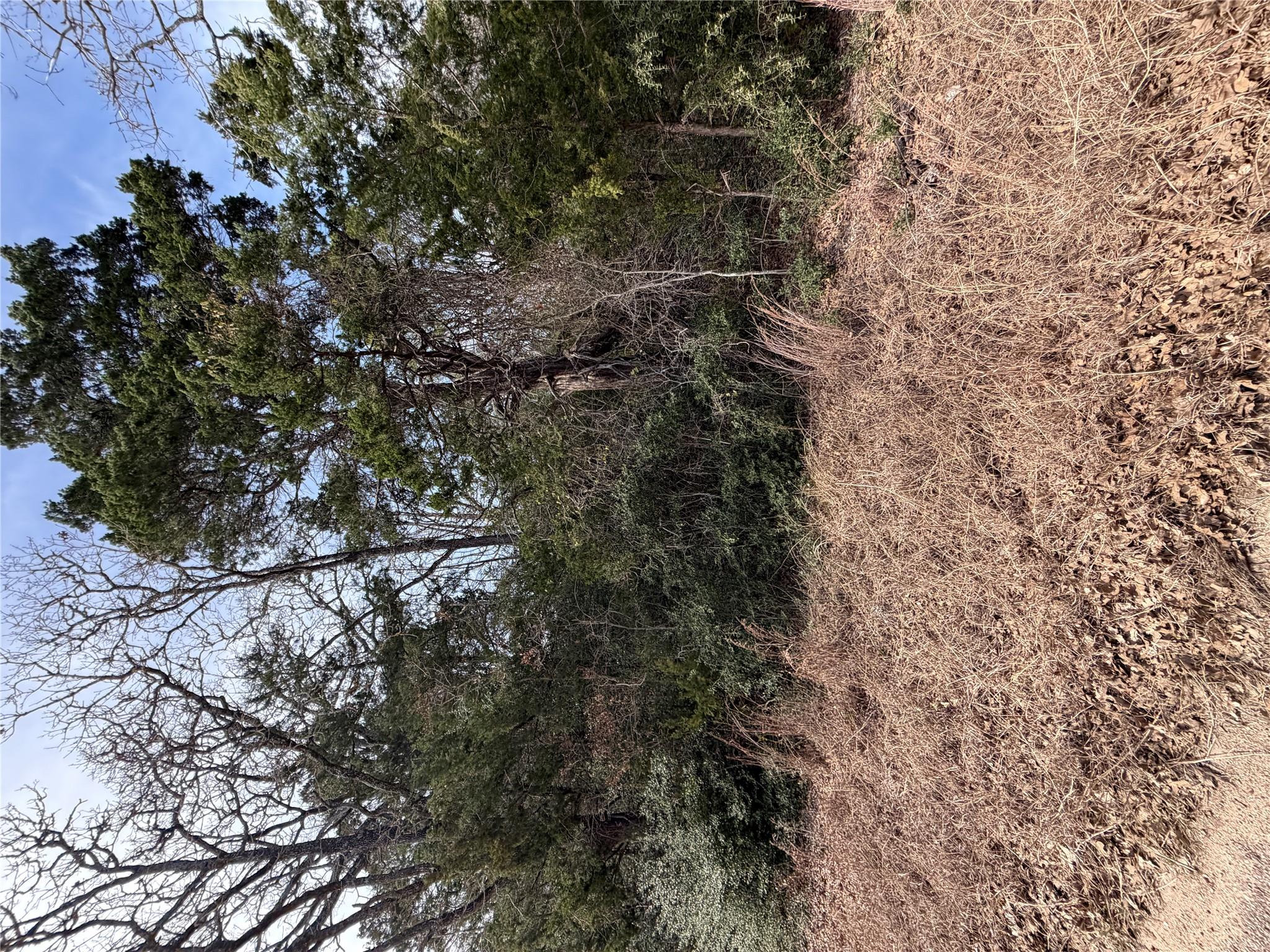 Lot 21 Flint Ridge St, Bastrop, TX 78602