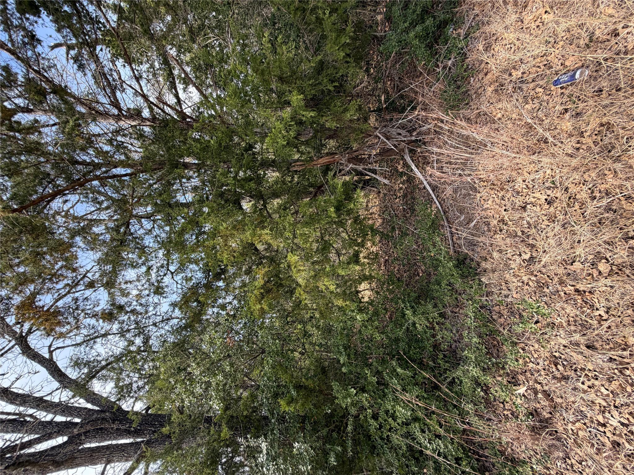 Lot 21 Flint Ridge St, Bastrop, TX 78602