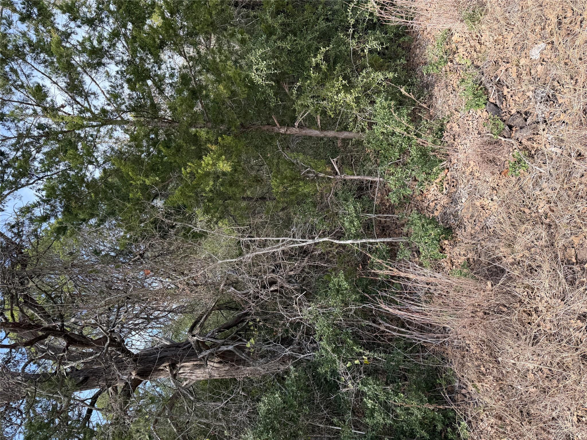 Lot 21 Flint Ridge St, Bastrop, TX 78602