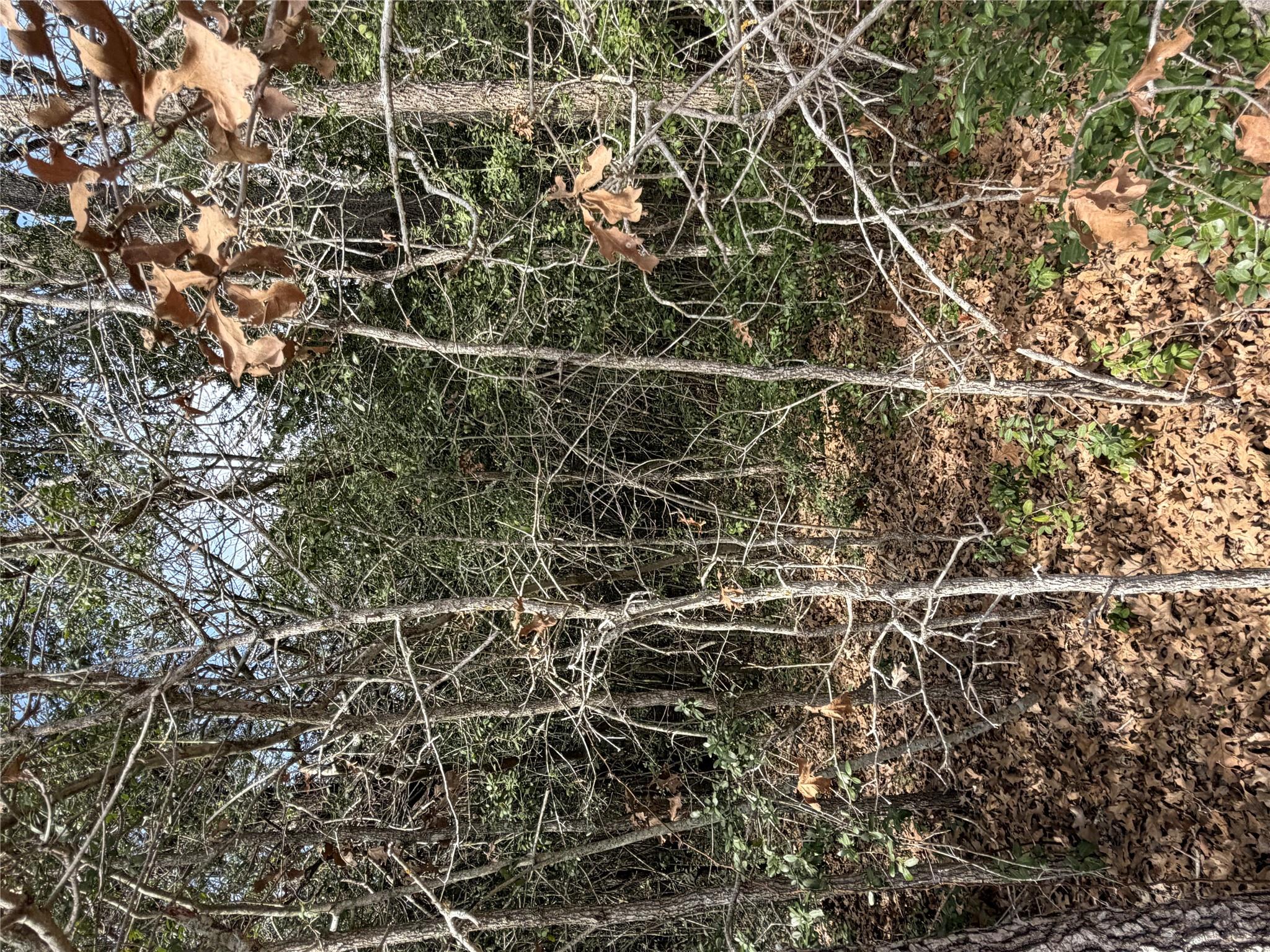 Lot 21 Flint Ridge St, Bastrop, TX 78602